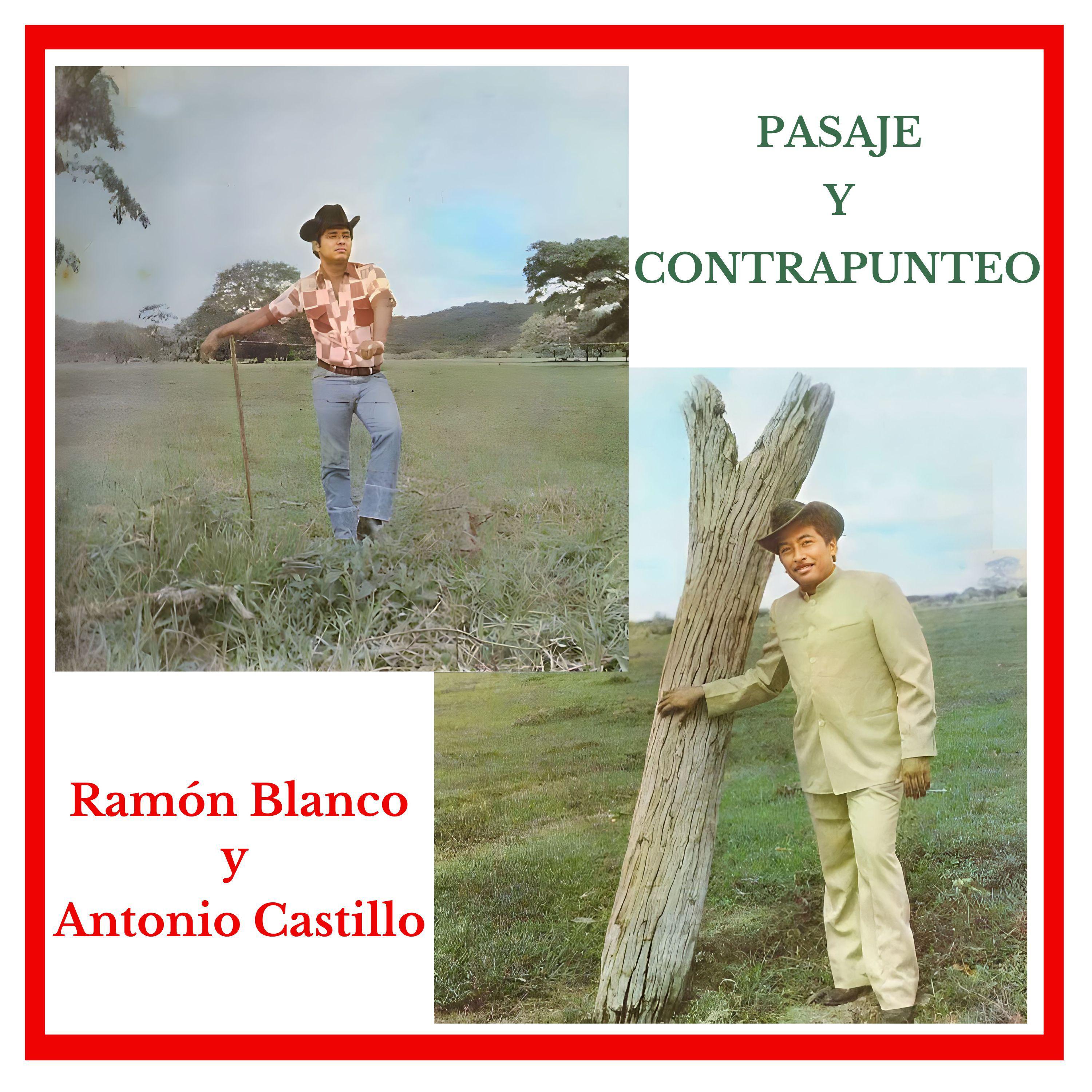 Постер альбома Pasaje y Contrapunteo