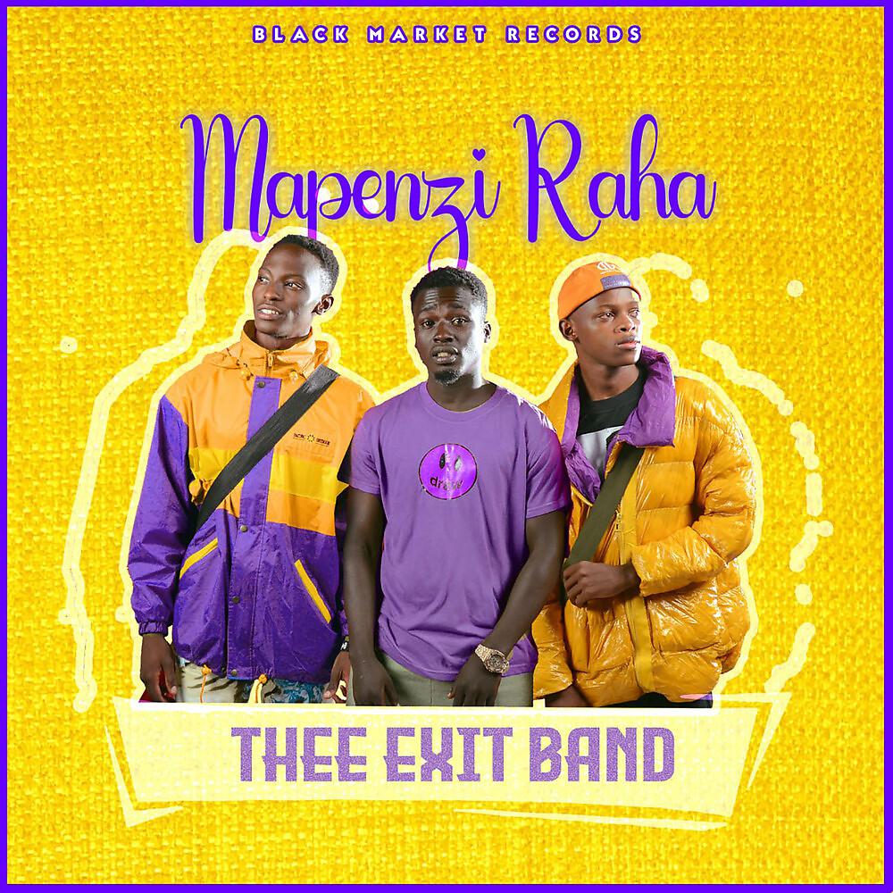 Постер альбома Mapenzi Raha