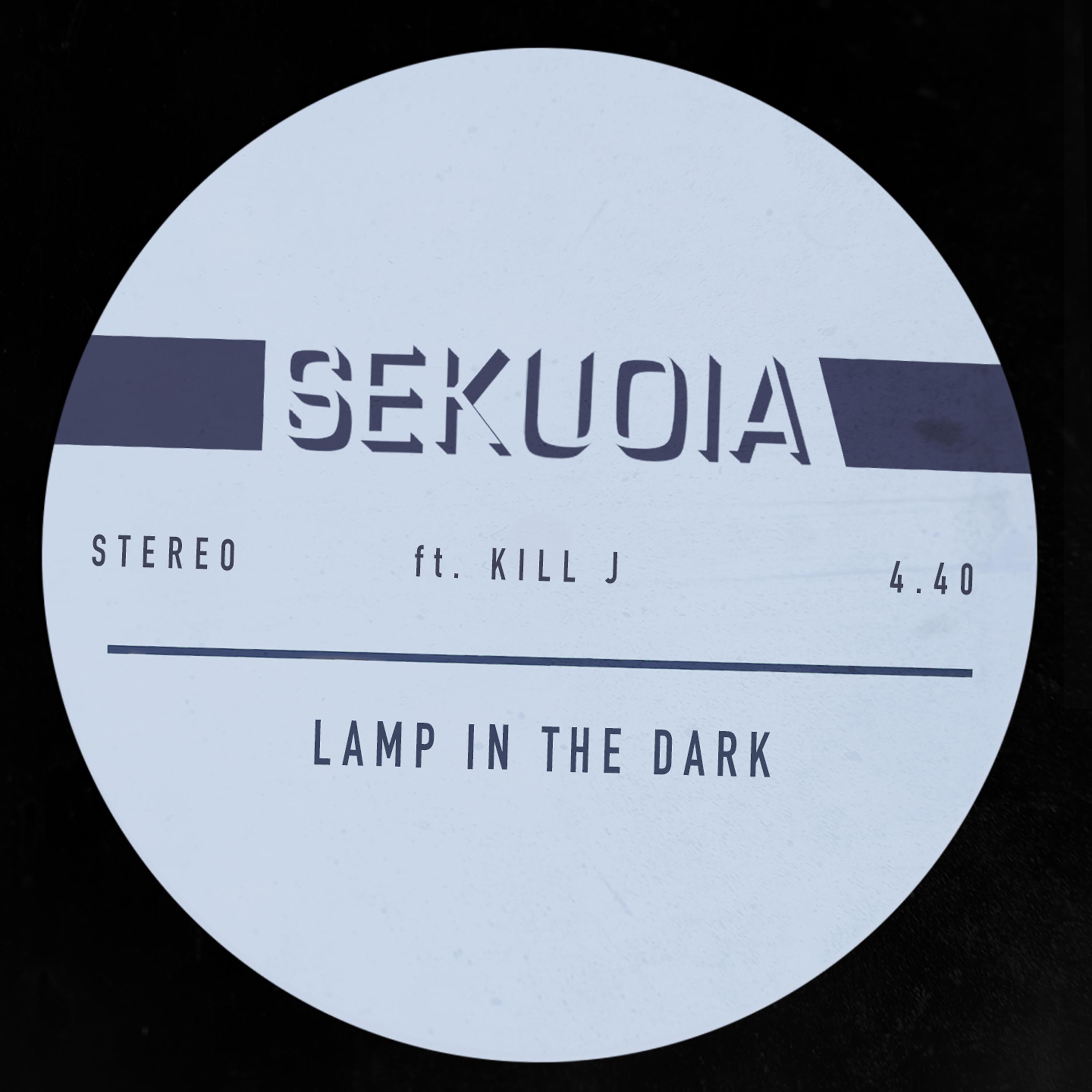 Постер альбома Lamp in the Dark