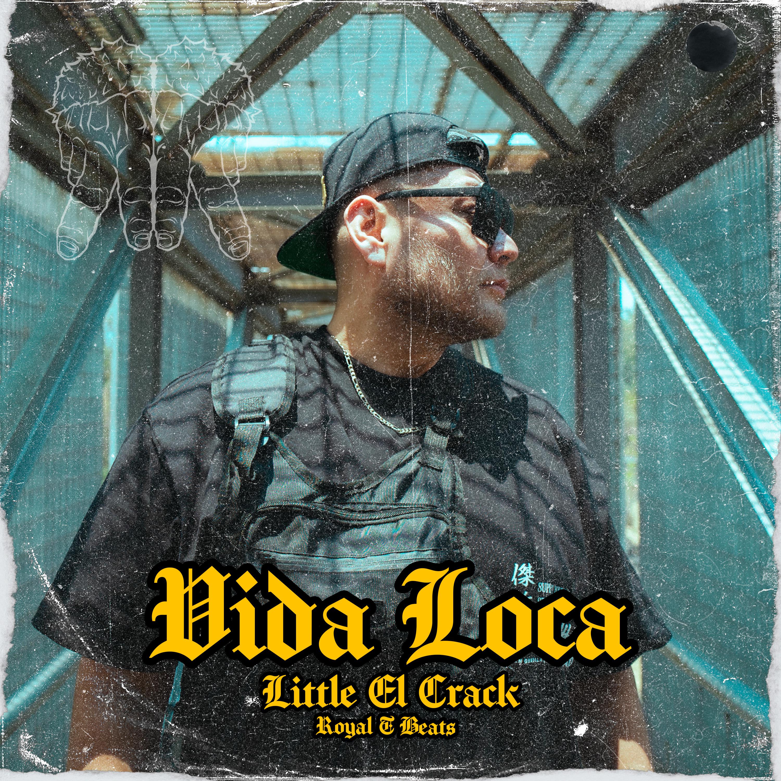 Постер альбома Vida Loca