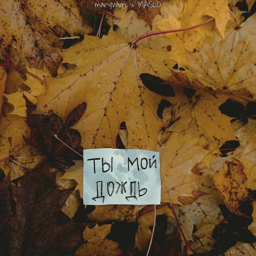 Постер альбома Ты мой дождь (Prod. Erёmushka)
