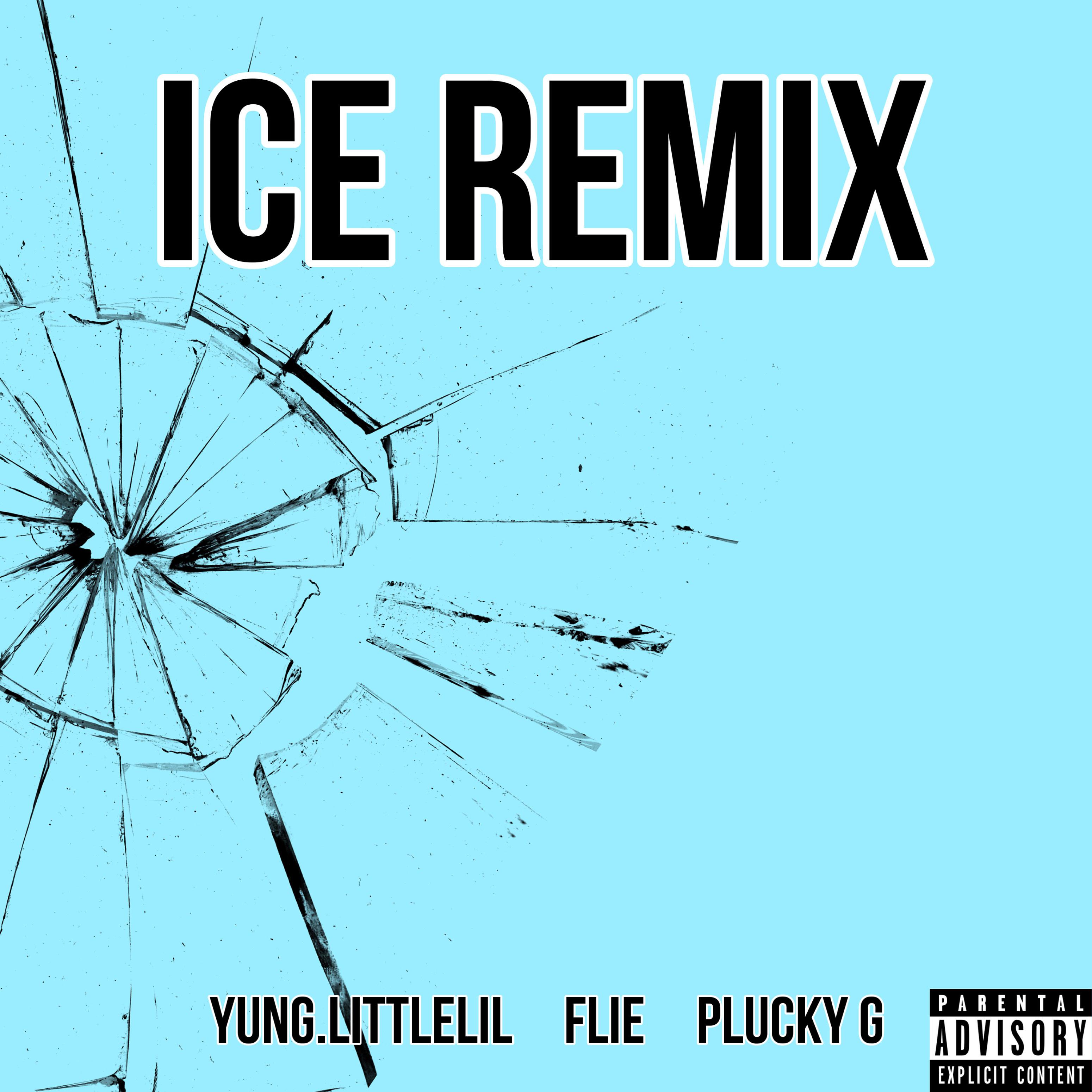 Постер альбома Ice Remix (feat. Plucky G)