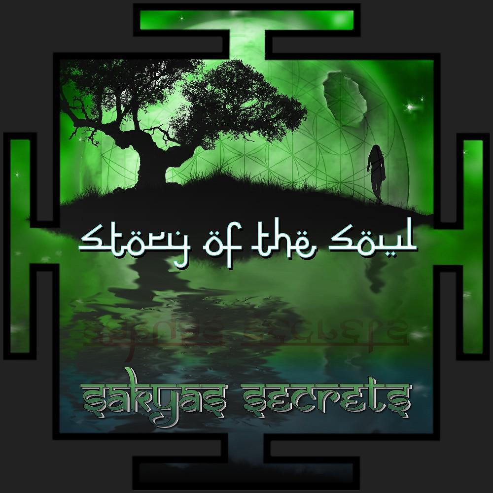 Постер альбома Story of the Soul