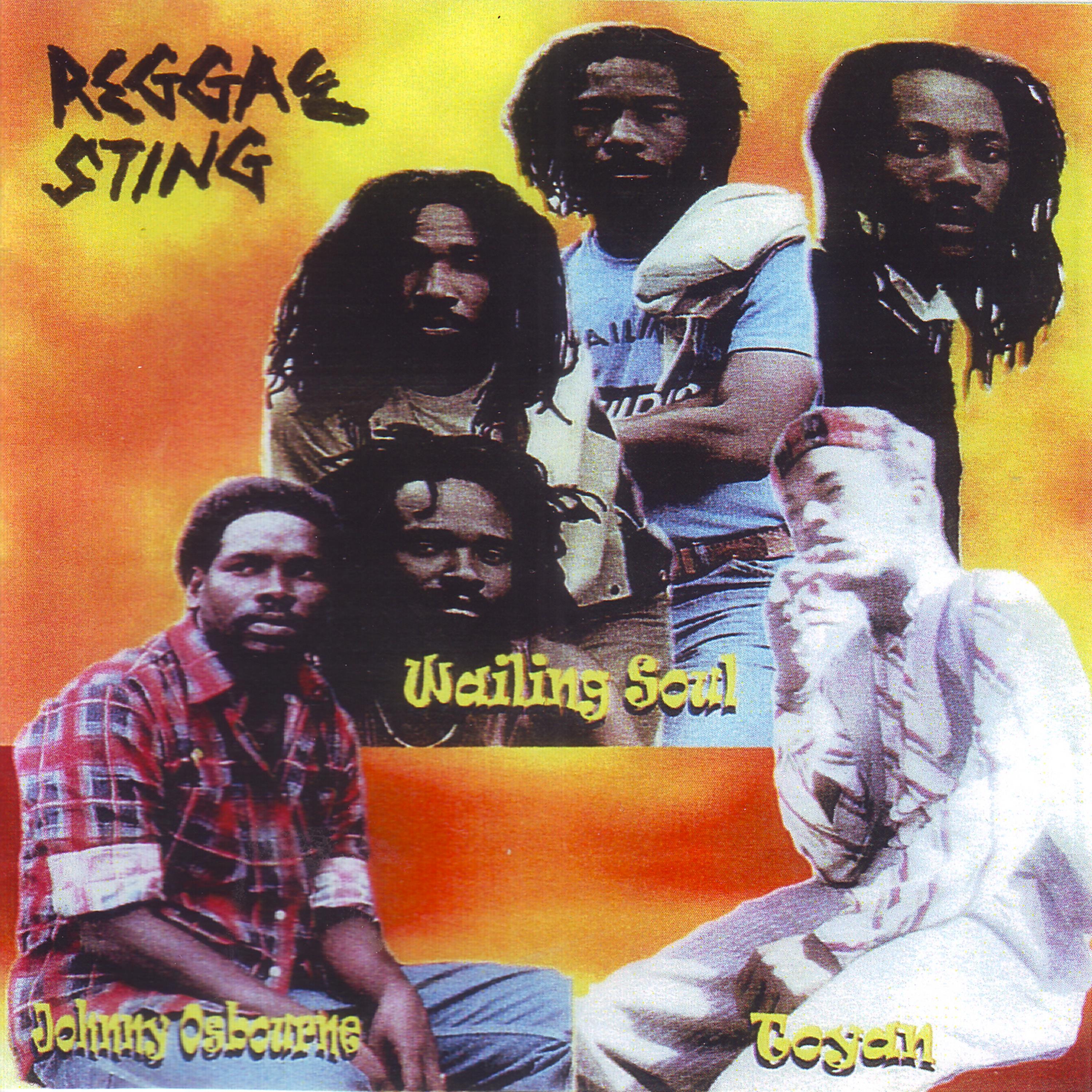 Постер альбома Reggae Sting