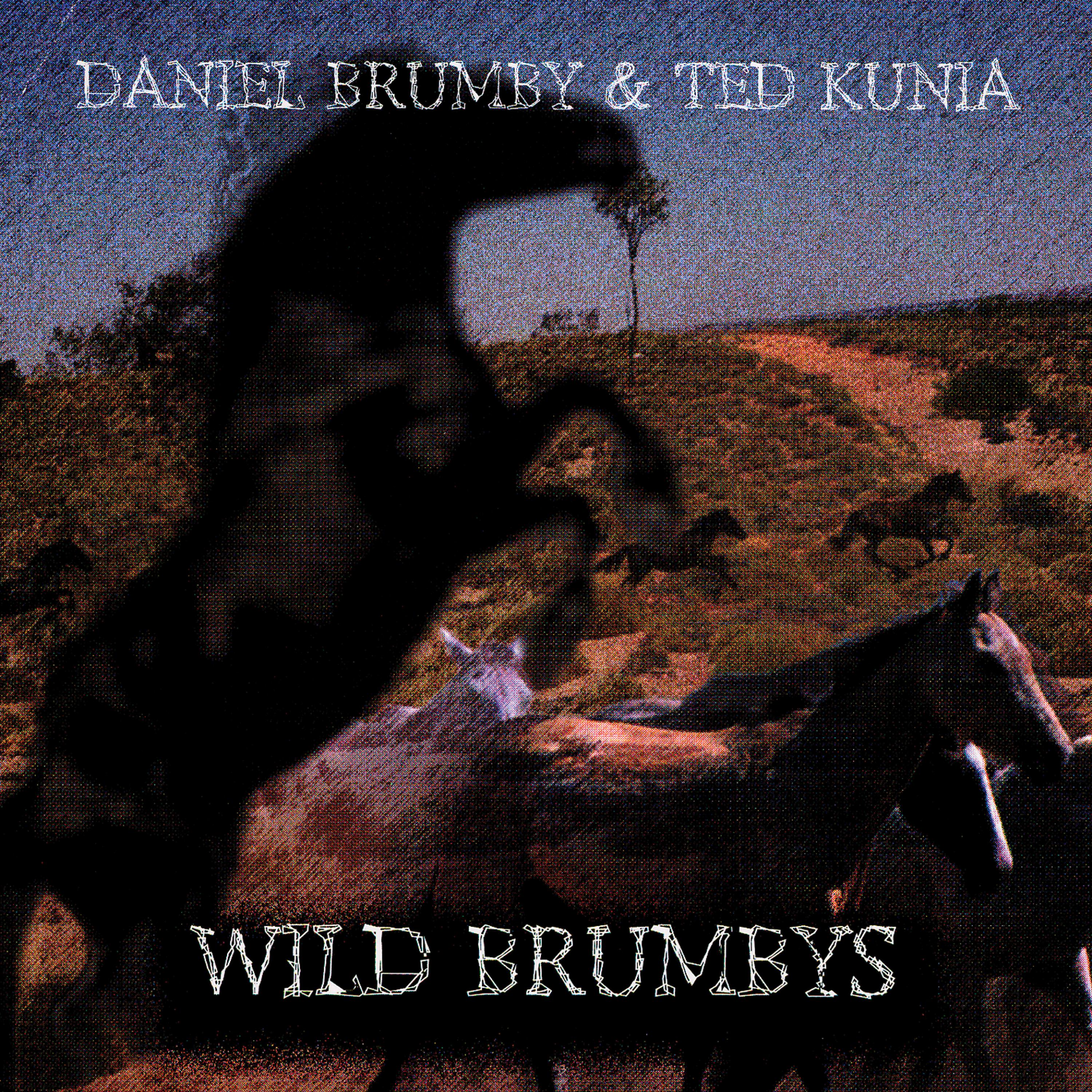 Постер альбома Wild Brumbys