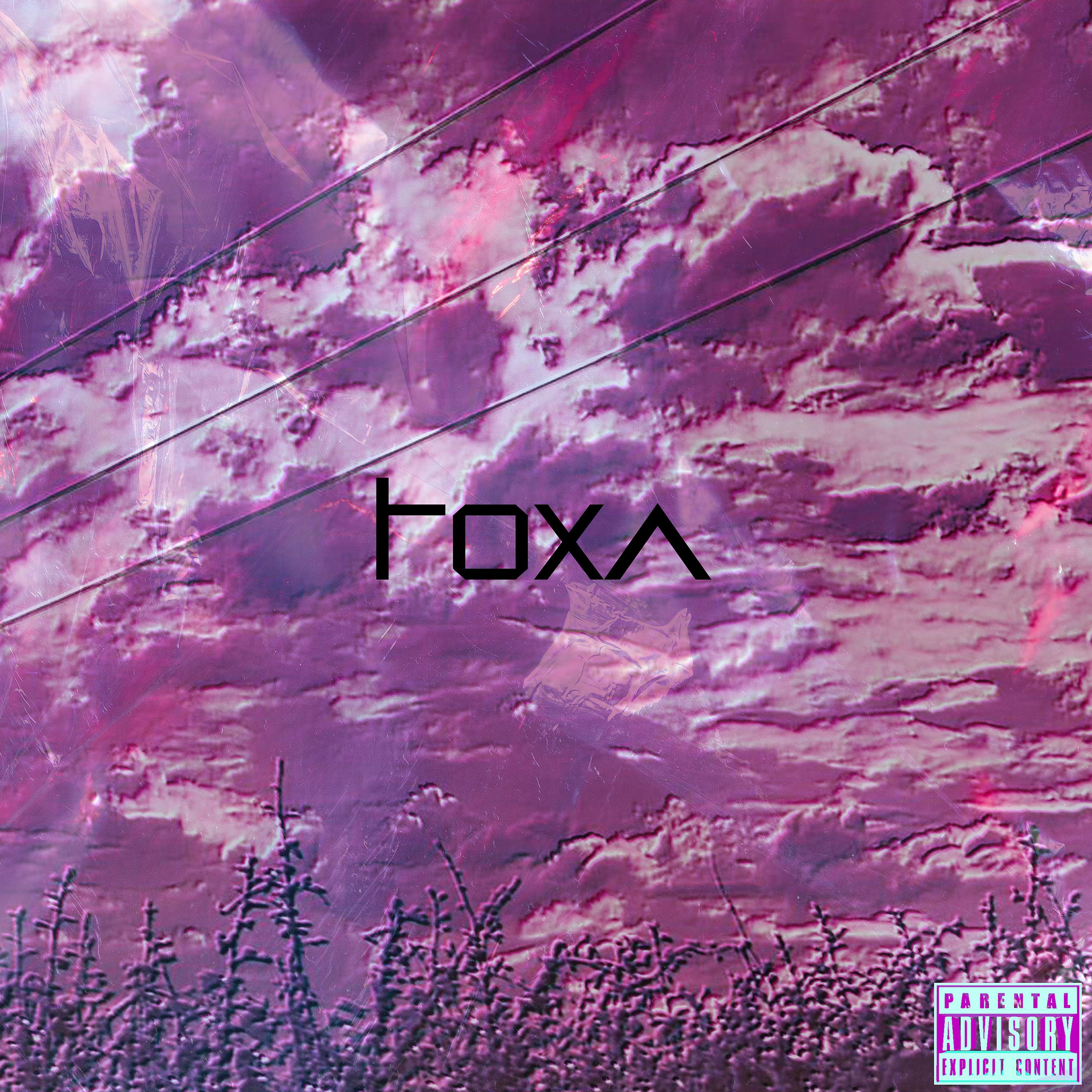 Постер альбома Toxa