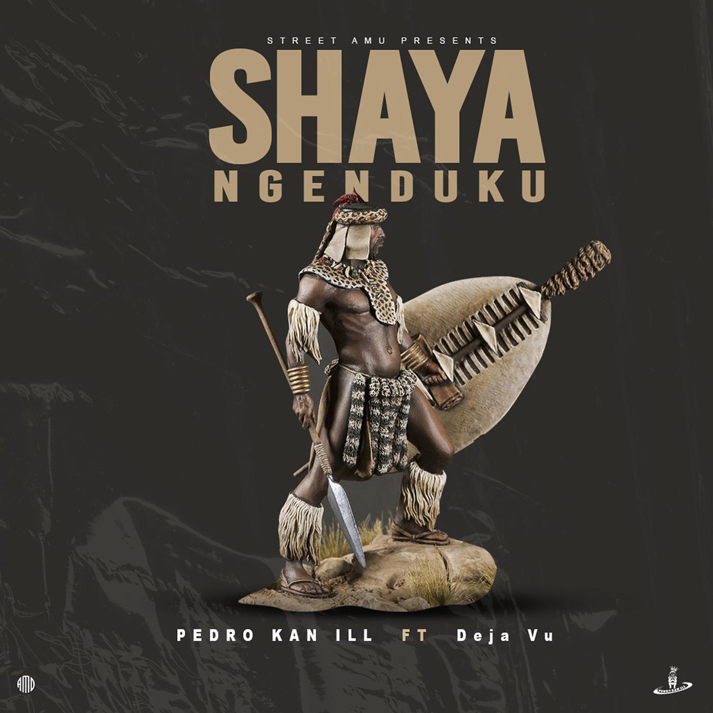 Постер альбома Shaya Ngenduku
