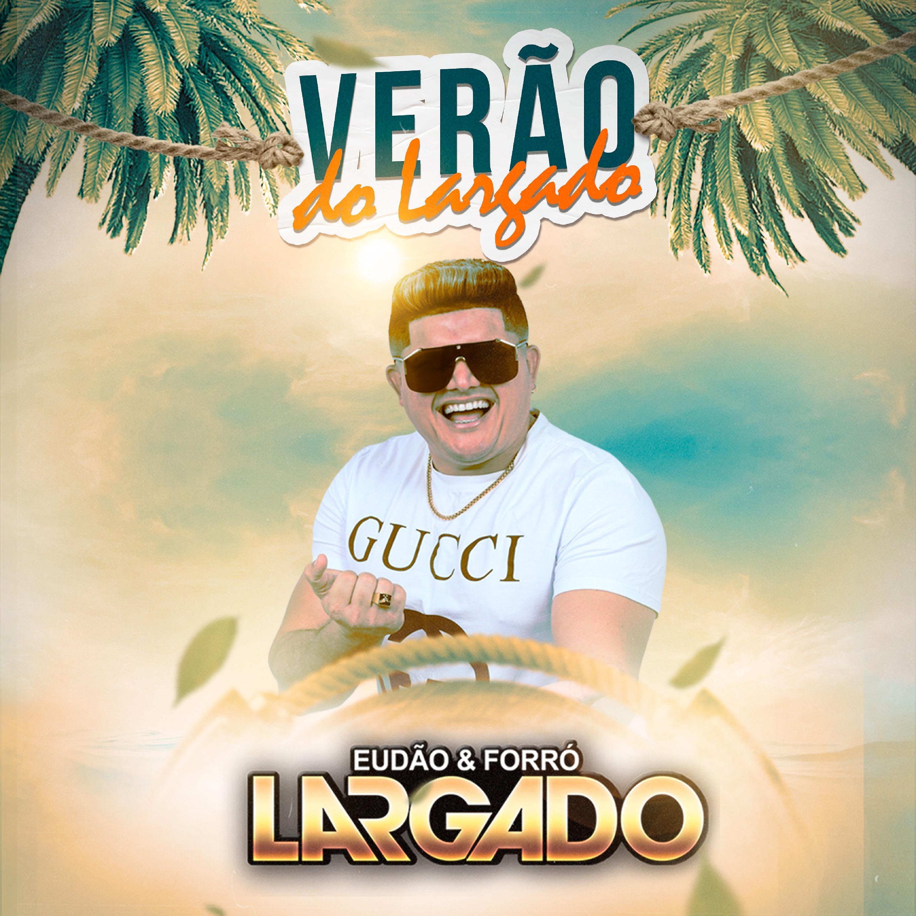 Постер альбома Verão do Largado