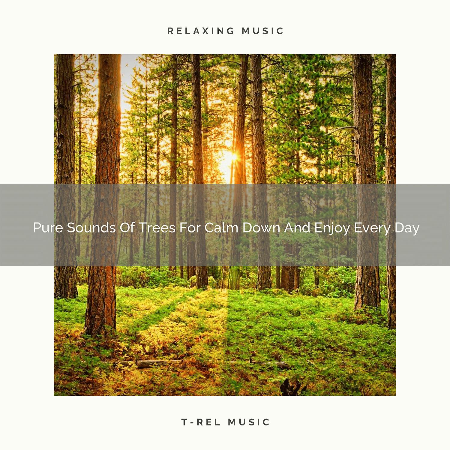Постер альбома 2020 Best: Pure Sounds Of Trees For Calm Down And Enjoy Every Day