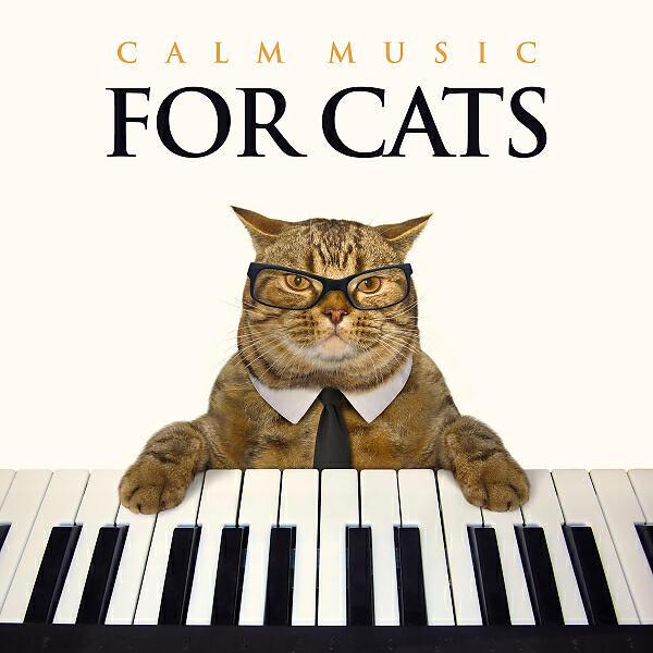 Cat Music - Pet Music