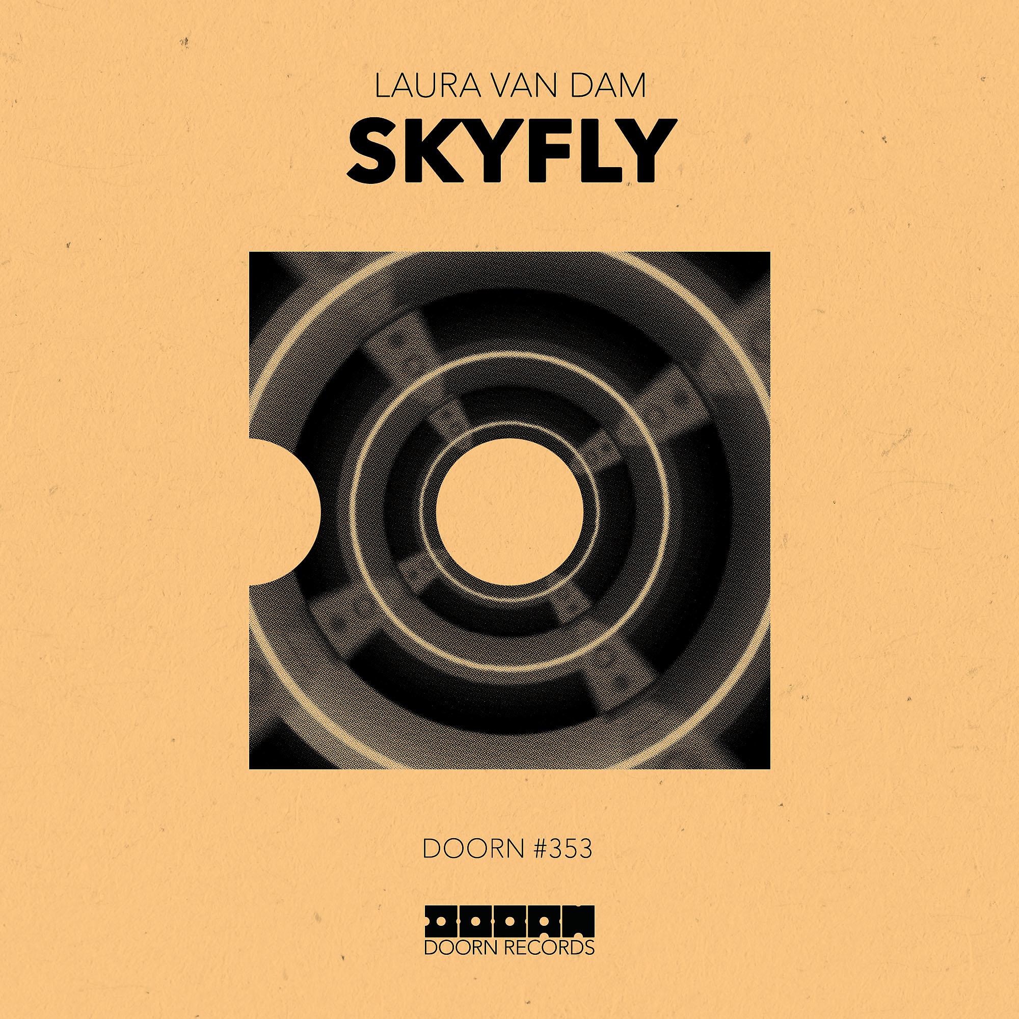 Постер альбома SkyFly