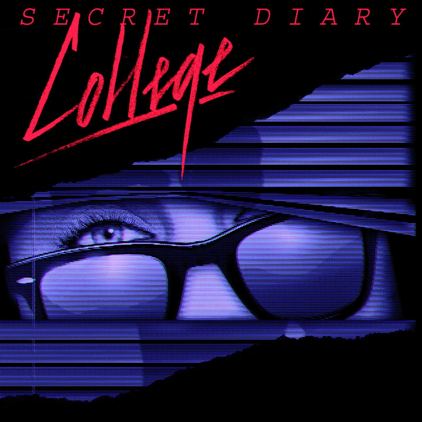 Постер альбома Secret Diary