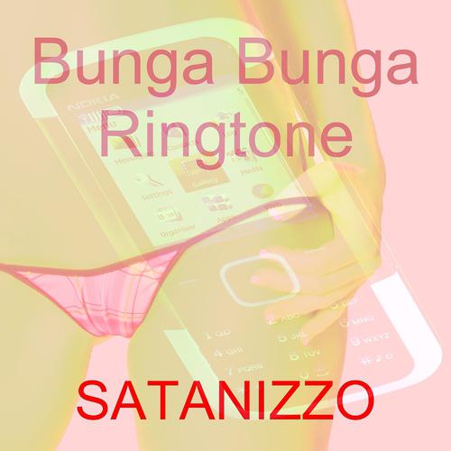 Постер альбома Bunga Bunga Ringtone