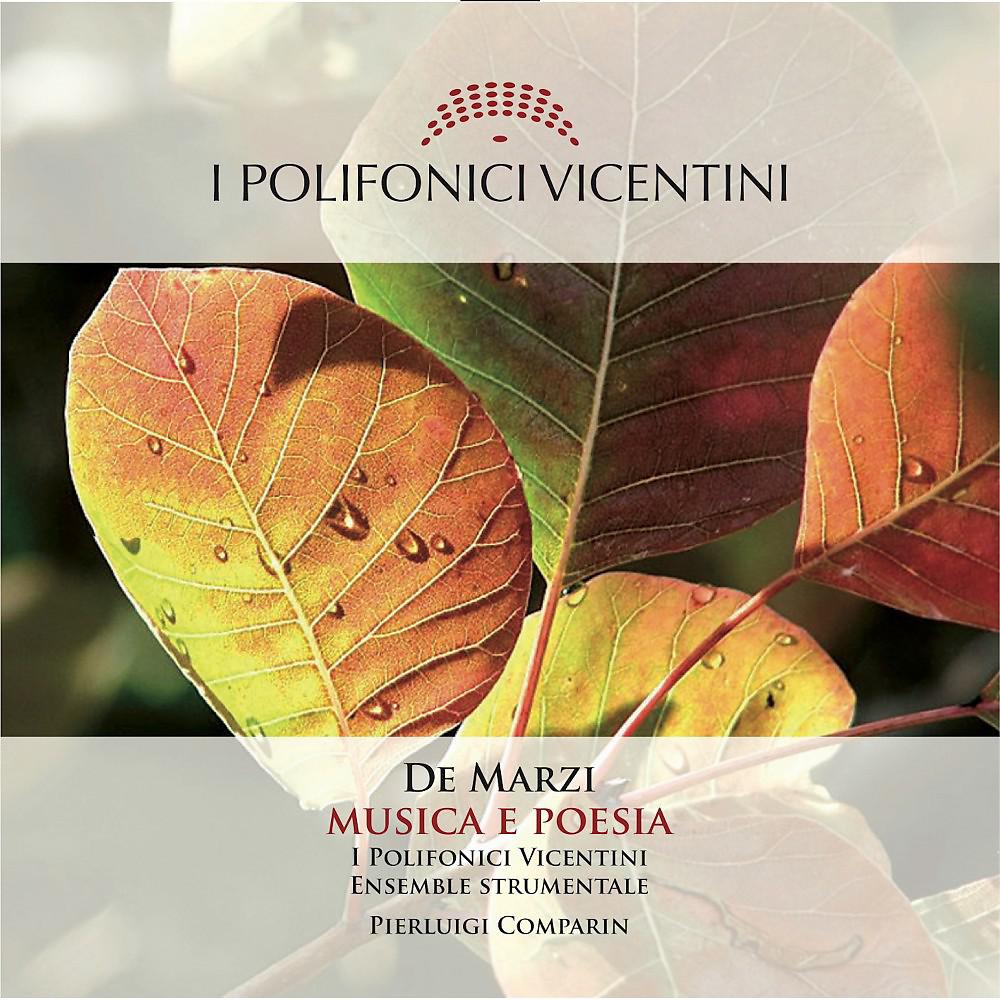 Постер альбома Musica e Poesia: La musica di Bepi De Marzi per coro e orchestra