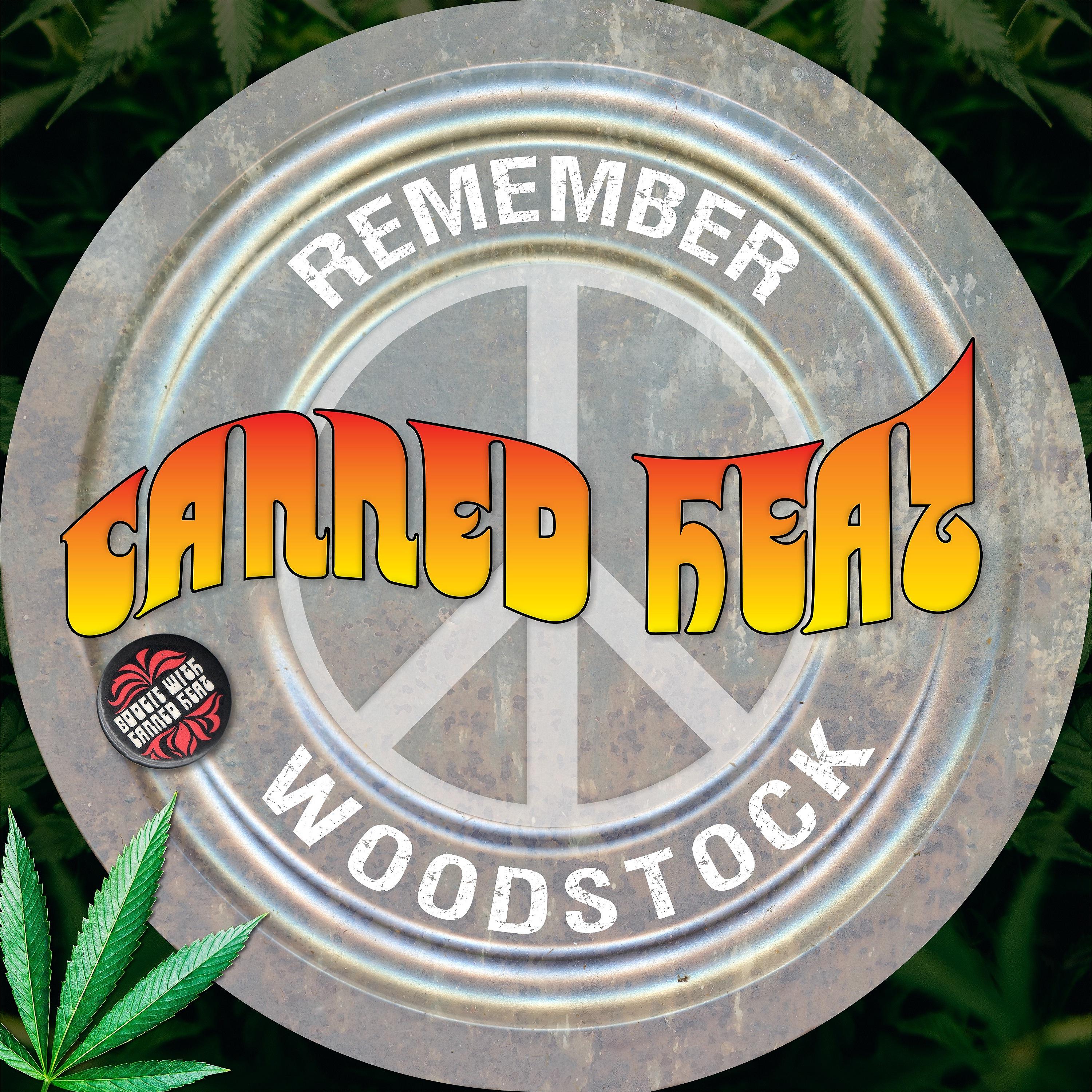 Постер альбома Remember Woodstock (Remastered)
