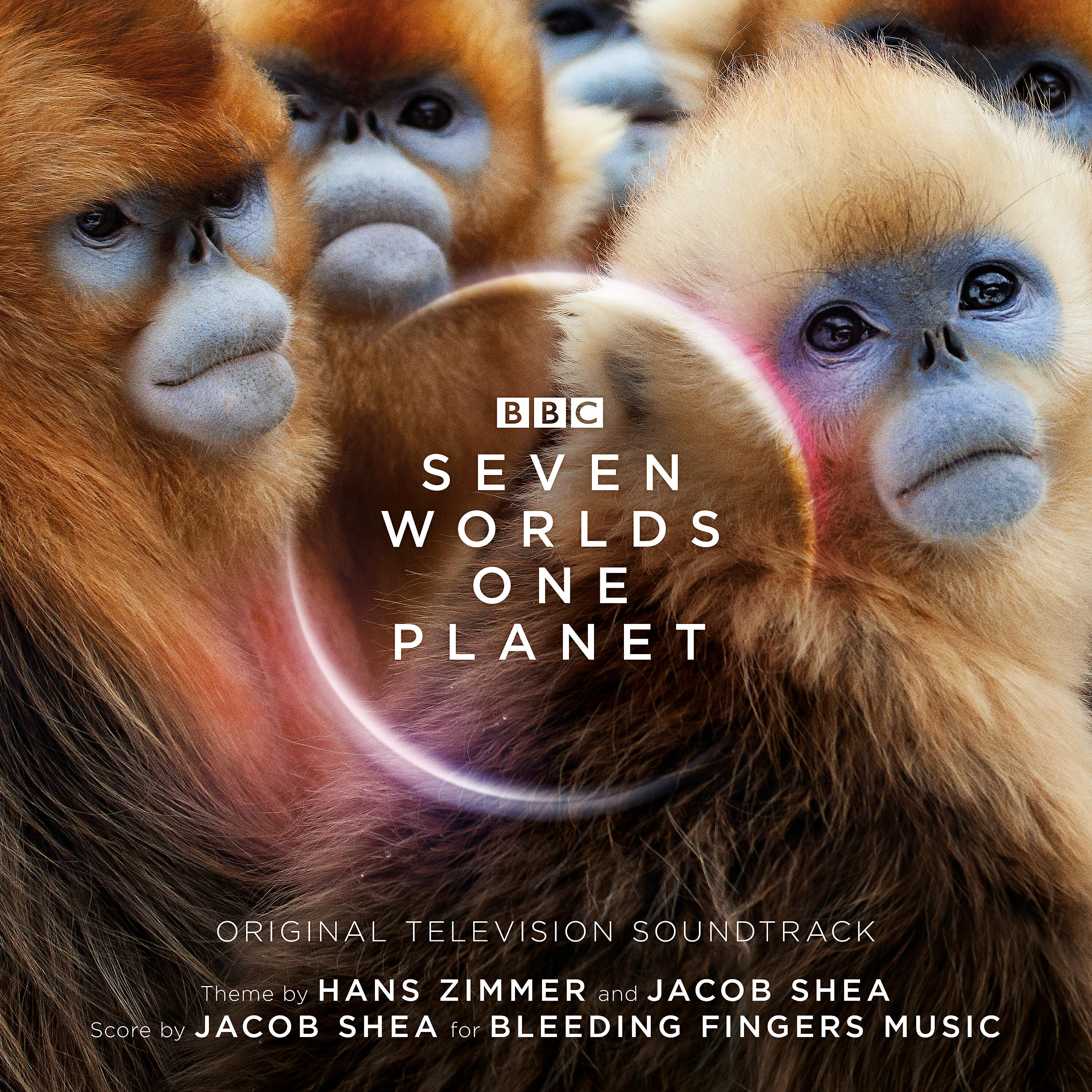 Jacob Shea - South Georgia Whaling Station