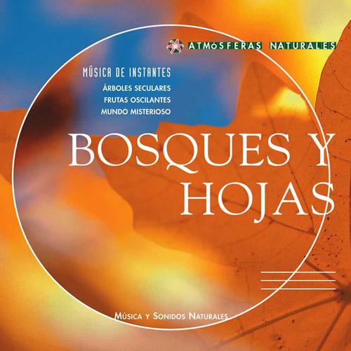 Постер альбома Atmosferas Naturales - Bosques y Hojas