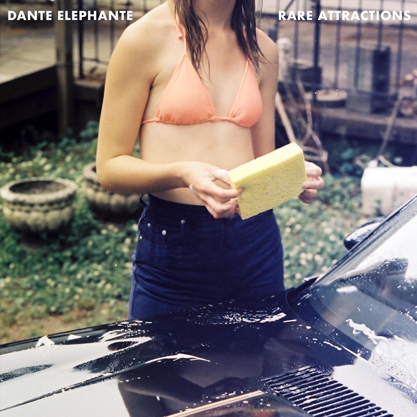 Dante Elephante - Love Again