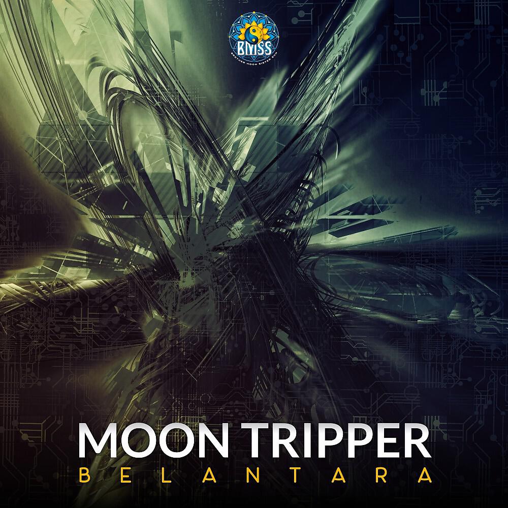 Moon Tripper - Groovy Doobie