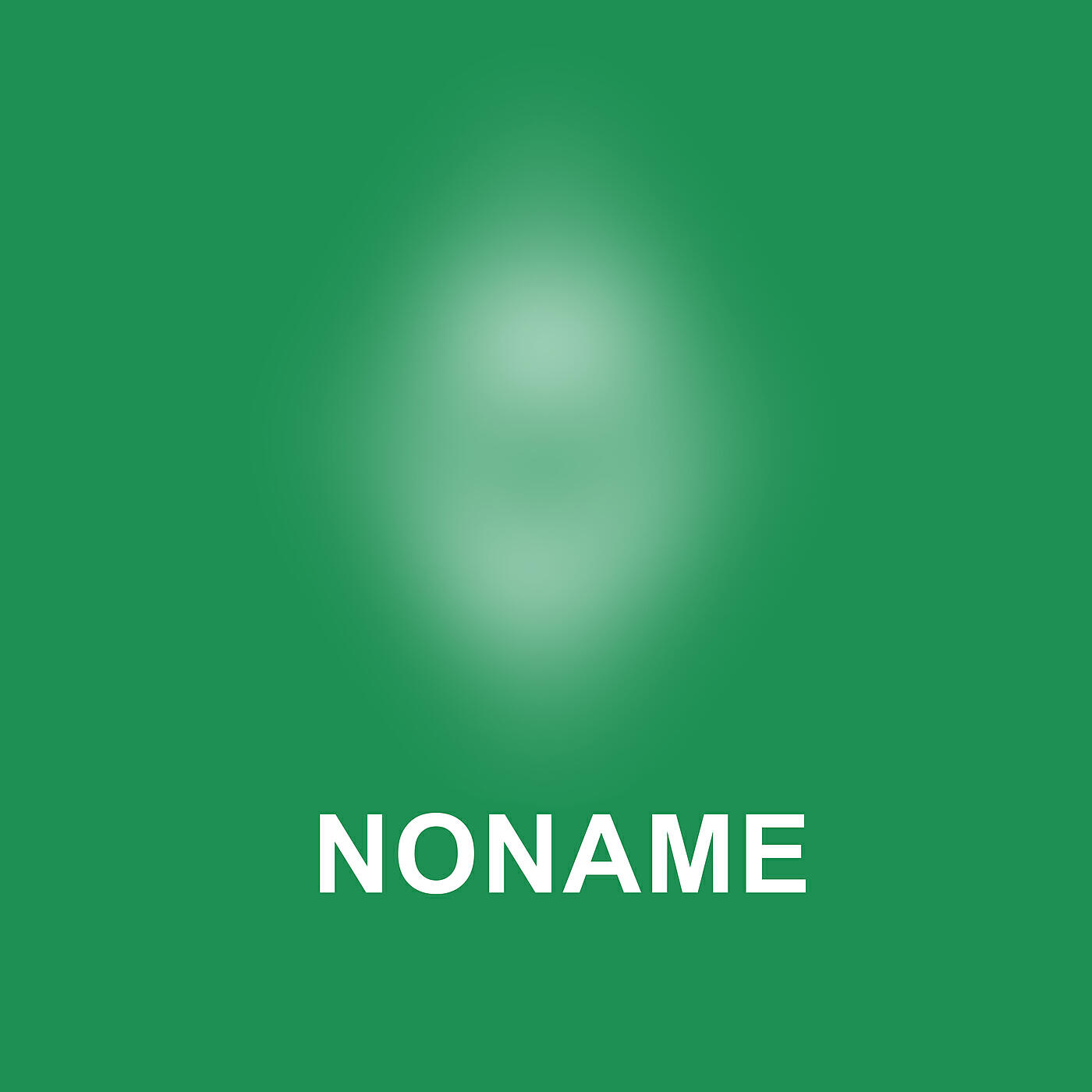 Fler - NONAME