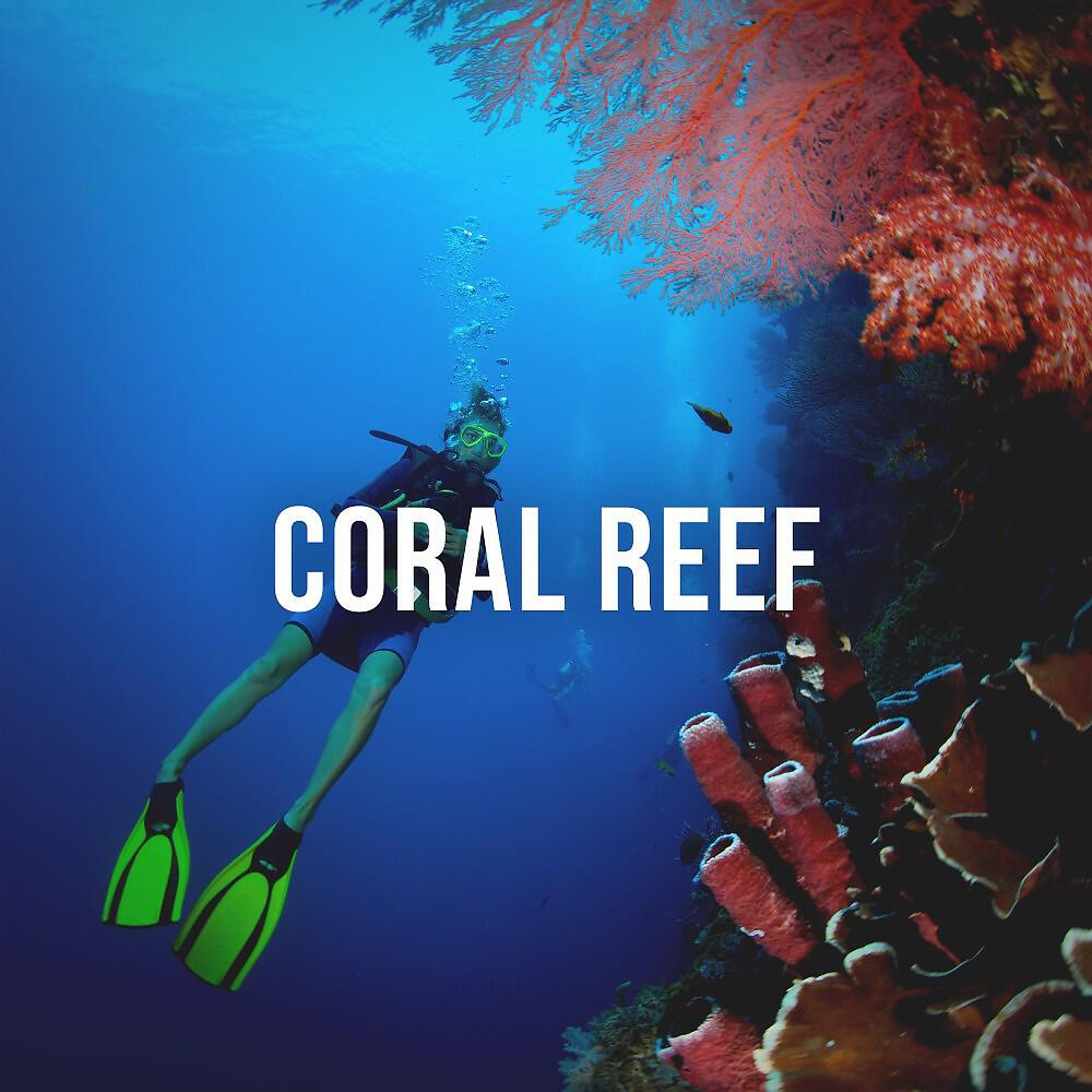 Deep Ocean Relax - Coral Reef, Pt. 18