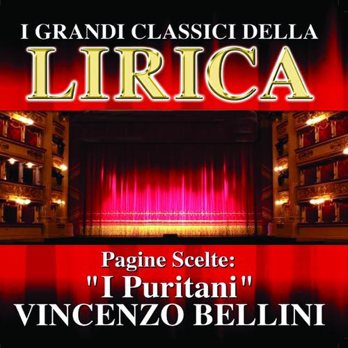 Постер альбома Vincenzo Bellini : I Puritani, Pagine scelte