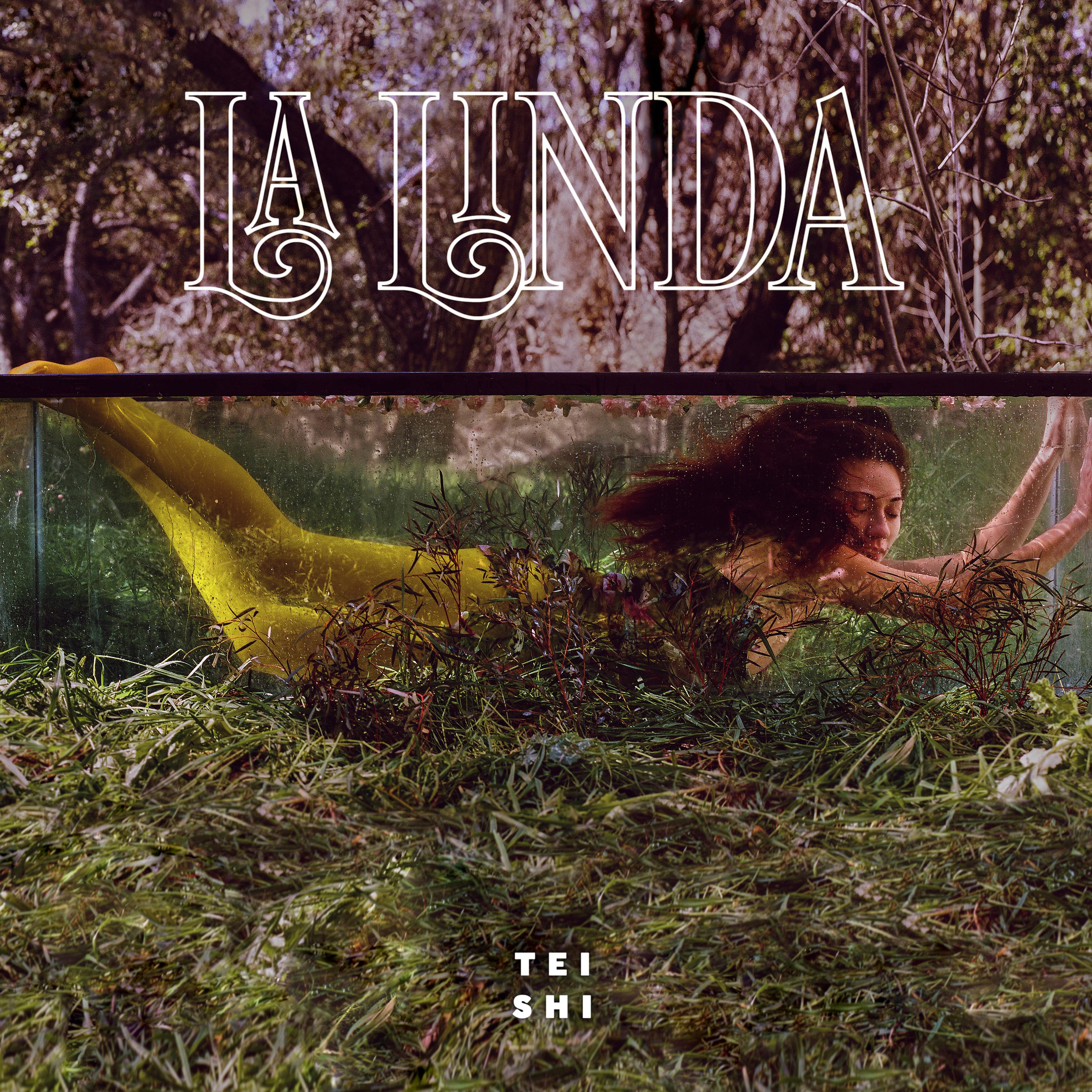 Постер альбома La Linda