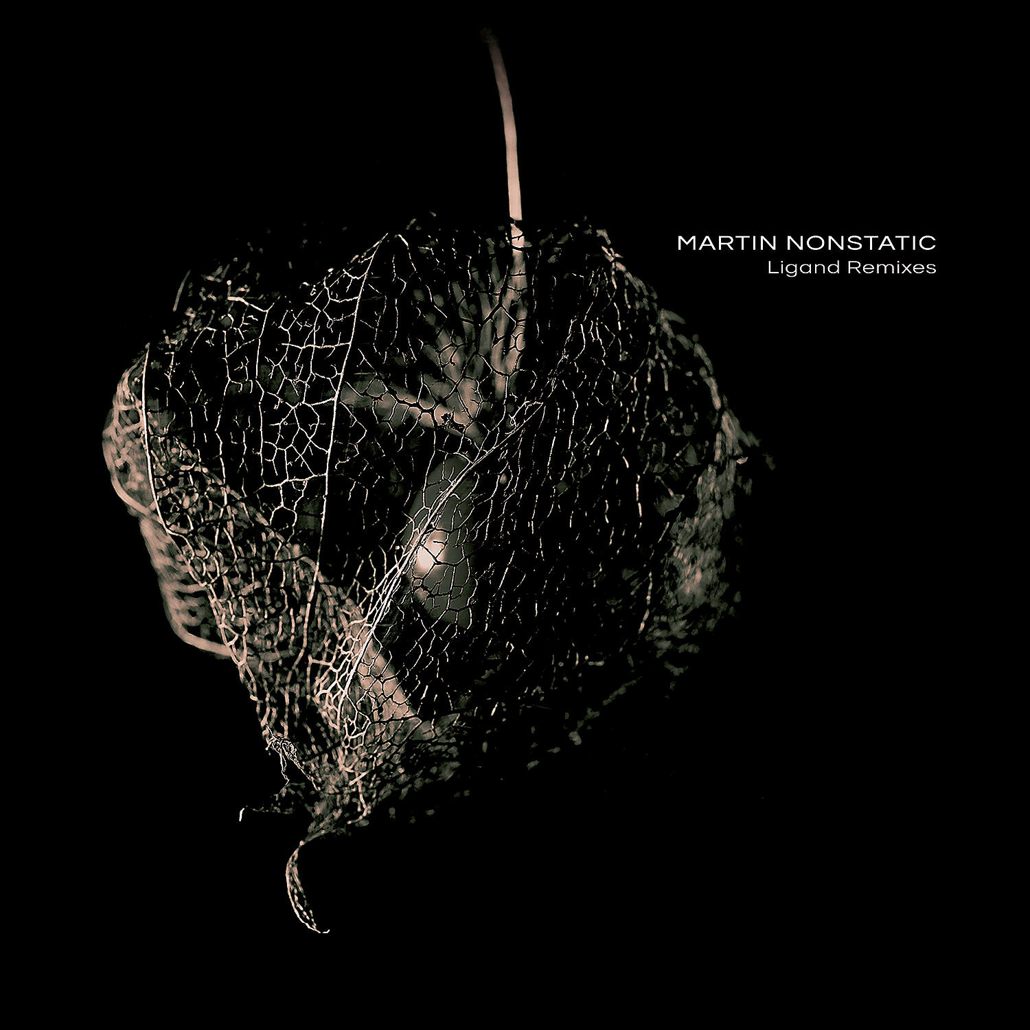 Martin Nonstatic - Variegation (Floating Machine Remix)