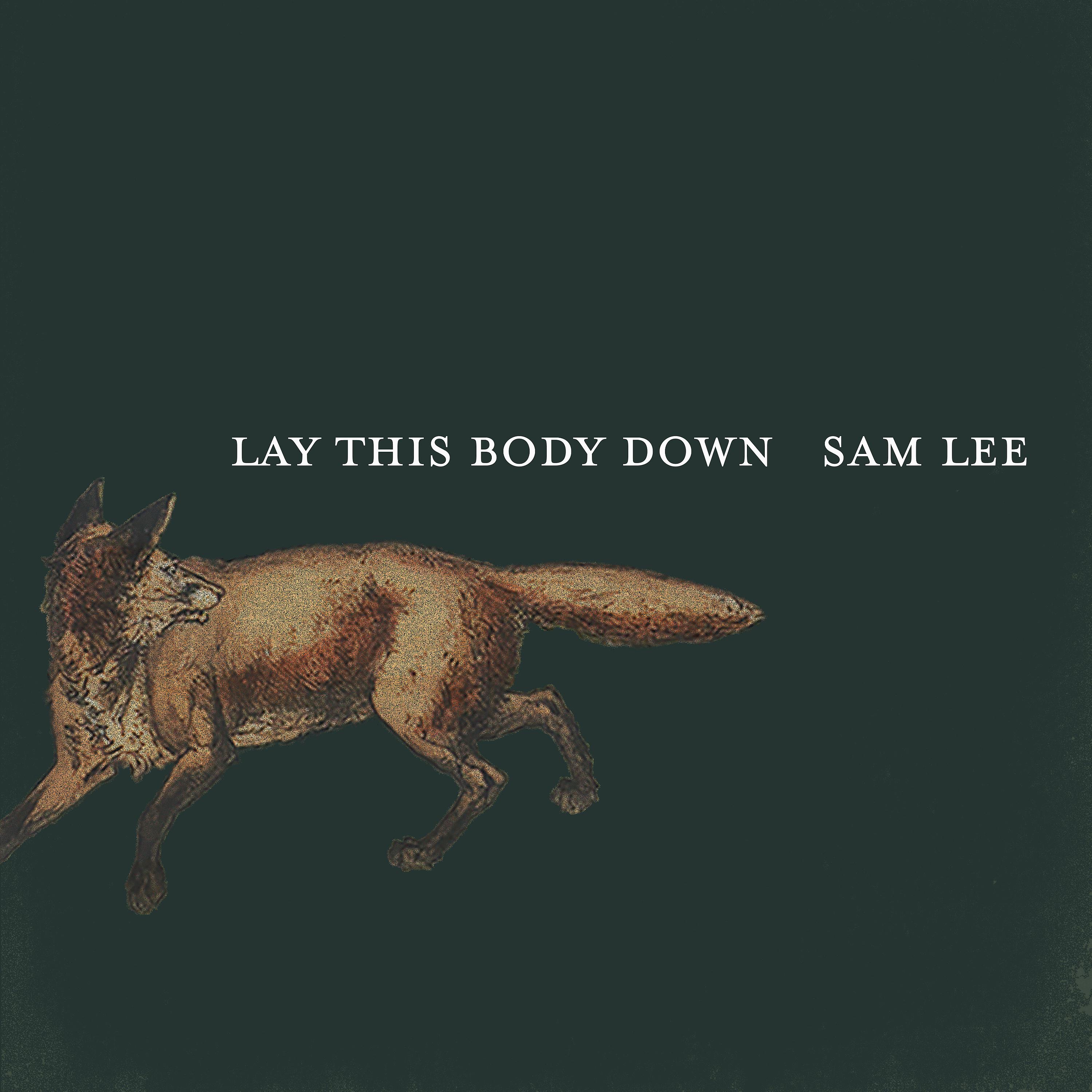 Постер альбома Lay This Body Down