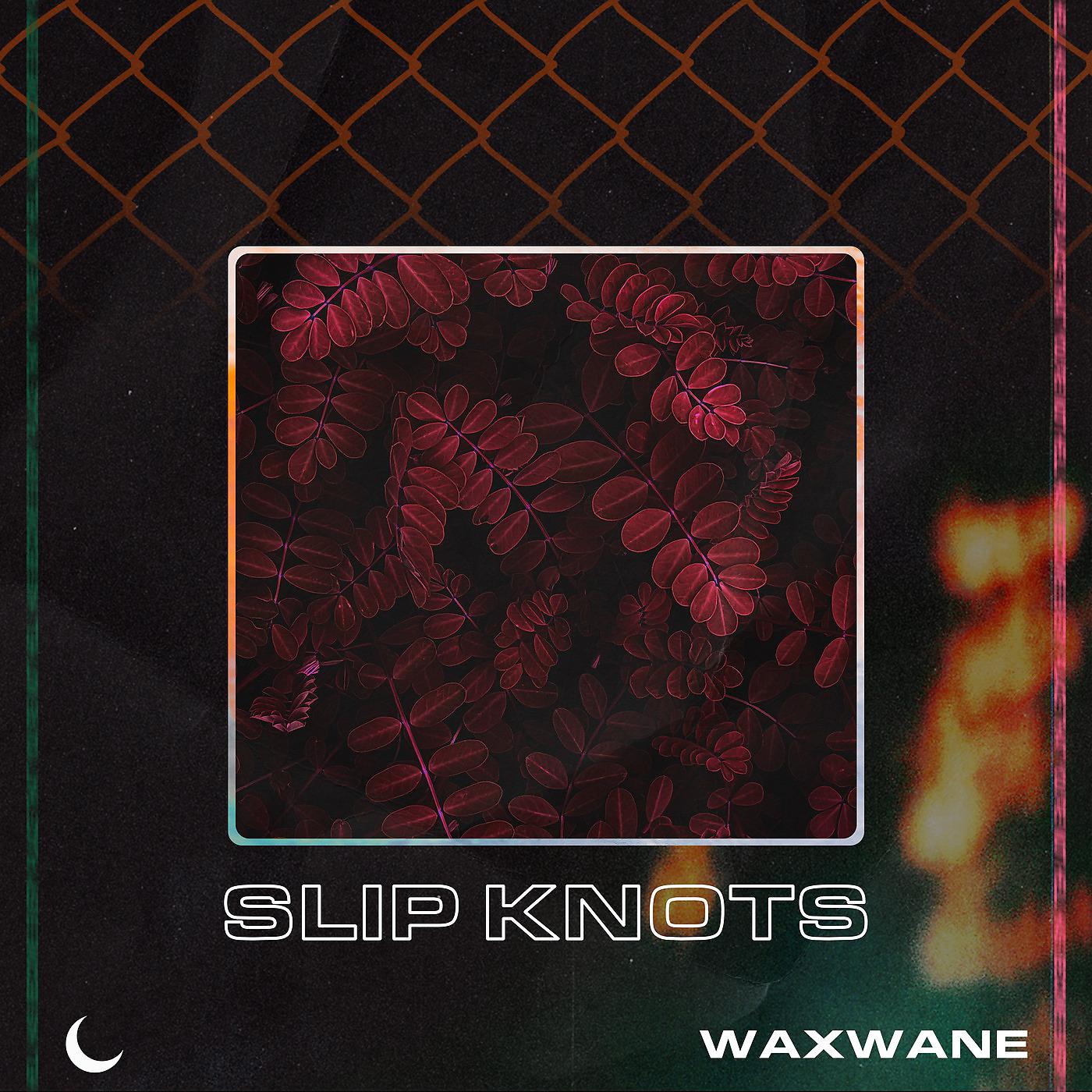 Постер альбома Slip Knots