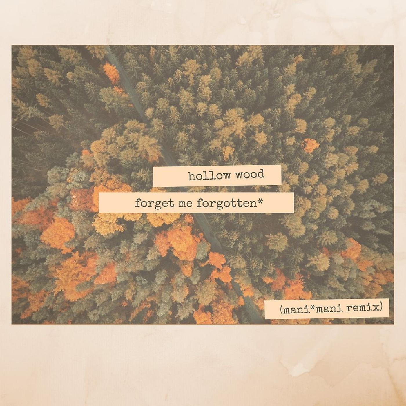 Постер альбома Forget Me Forgotten (Remix)