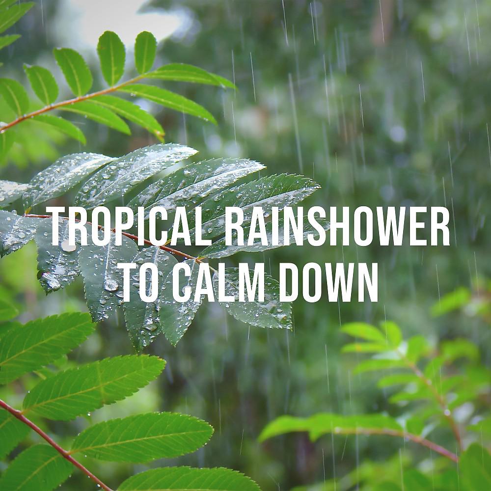 Постер альбома Tropical Rainshower to Calm Down
