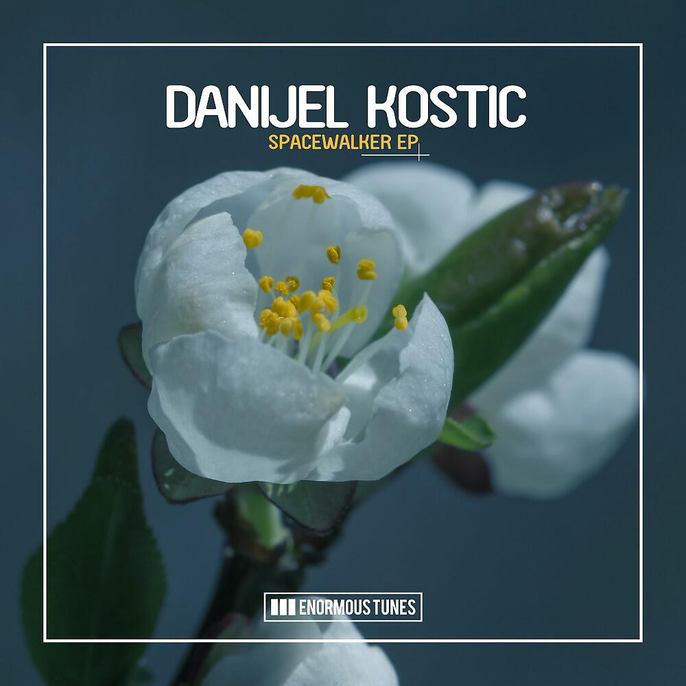 Danijel Kostic - Spacewalker (Original Club Mix)
