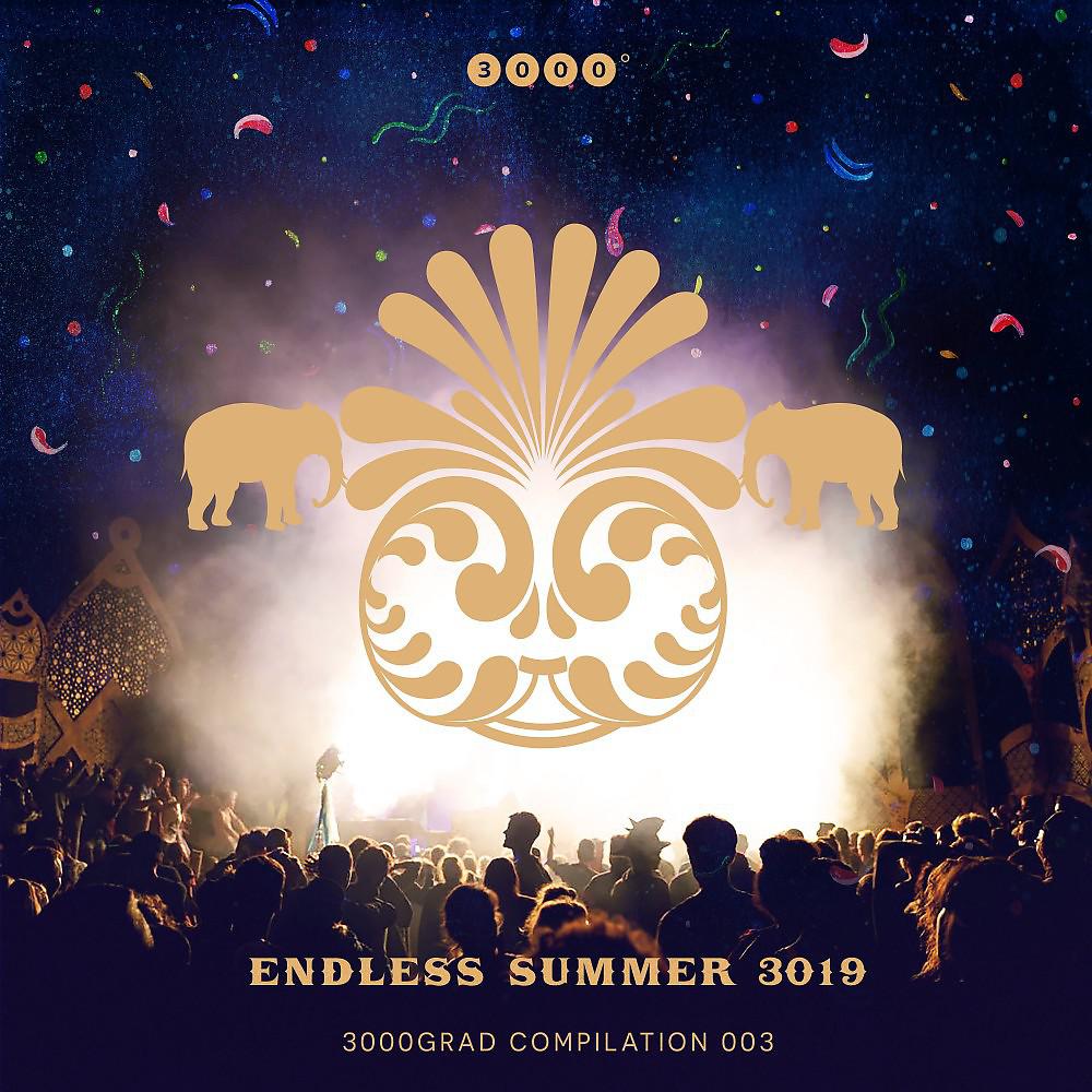 Постер альбома Endless Summer 3019