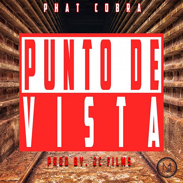 Постер альбома Punto De Vista