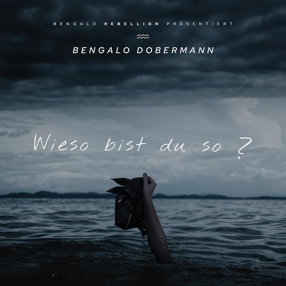 Bengalo Dobermann - Wieso bist du so (2017)