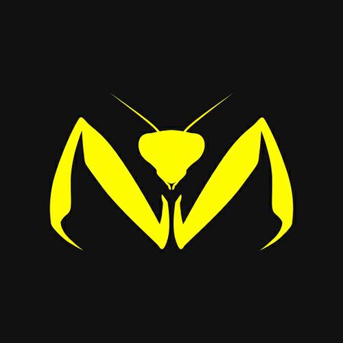 Manu P - Rekorder (Original Mix)