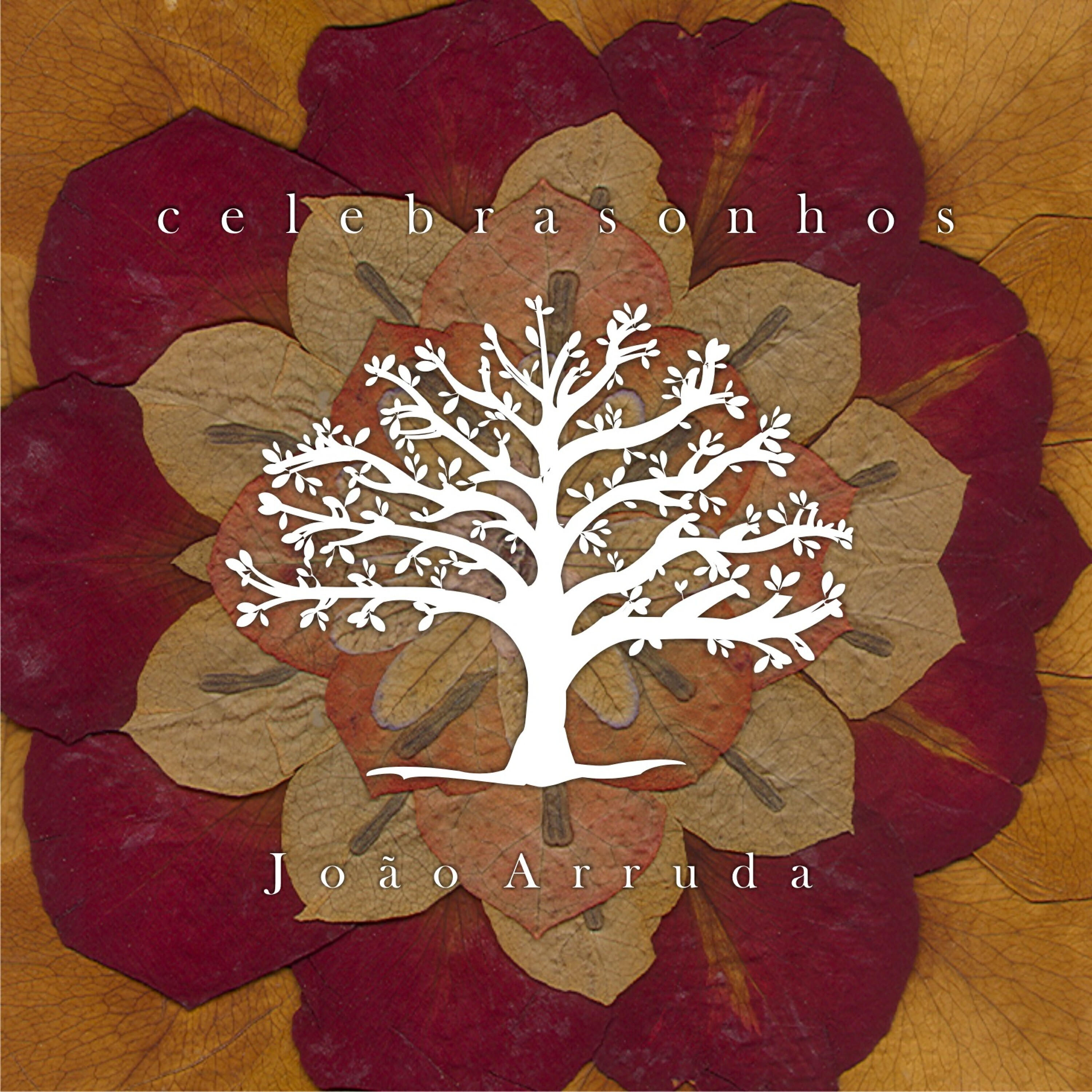João Arruda - Quadra do Sertão (Trecho)