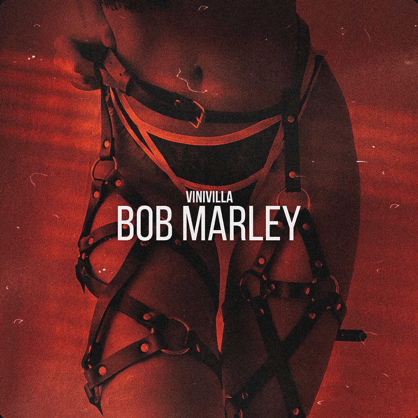 VINIVILLA - Bob Marley