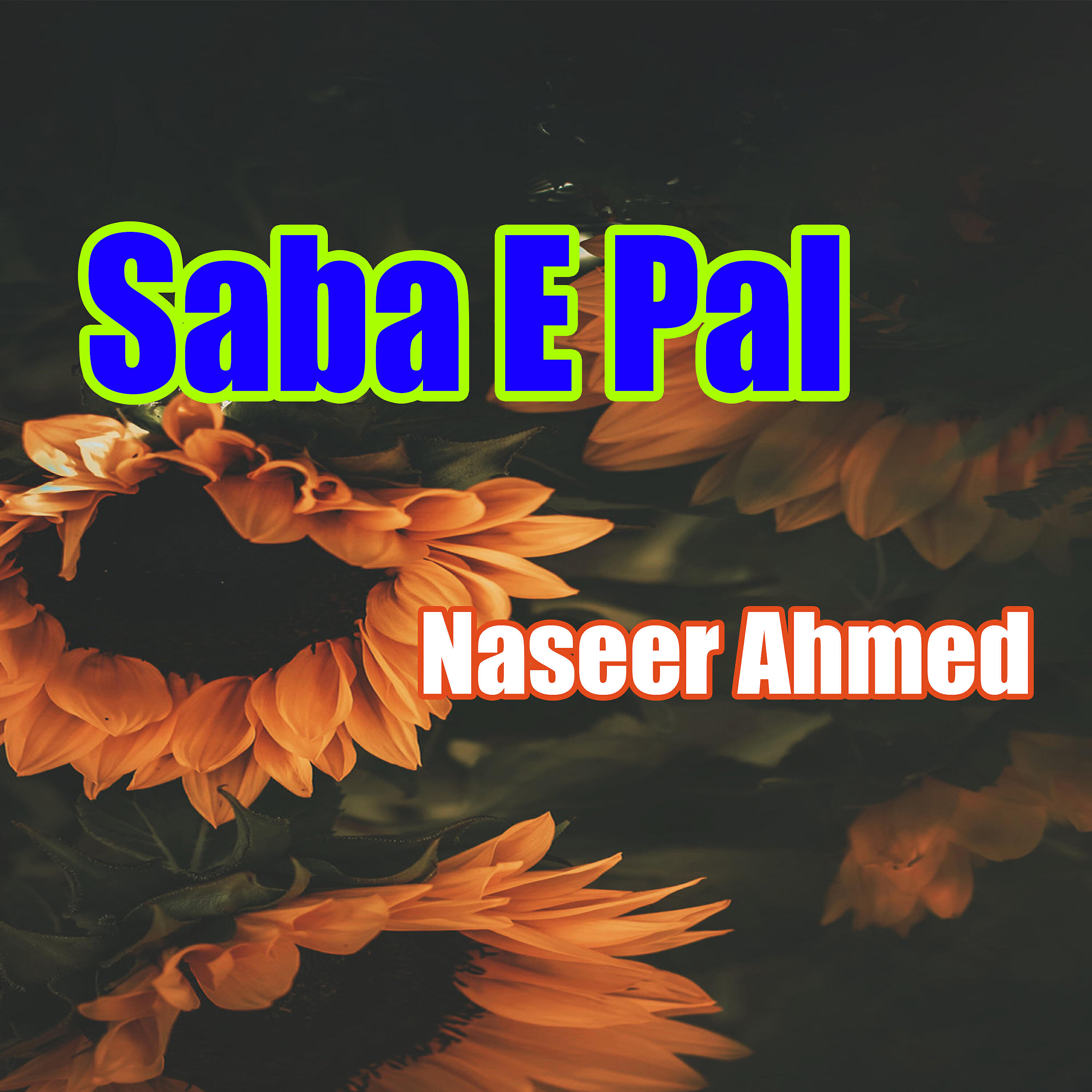 Naseer Ahmed - Dile Duniya Ke