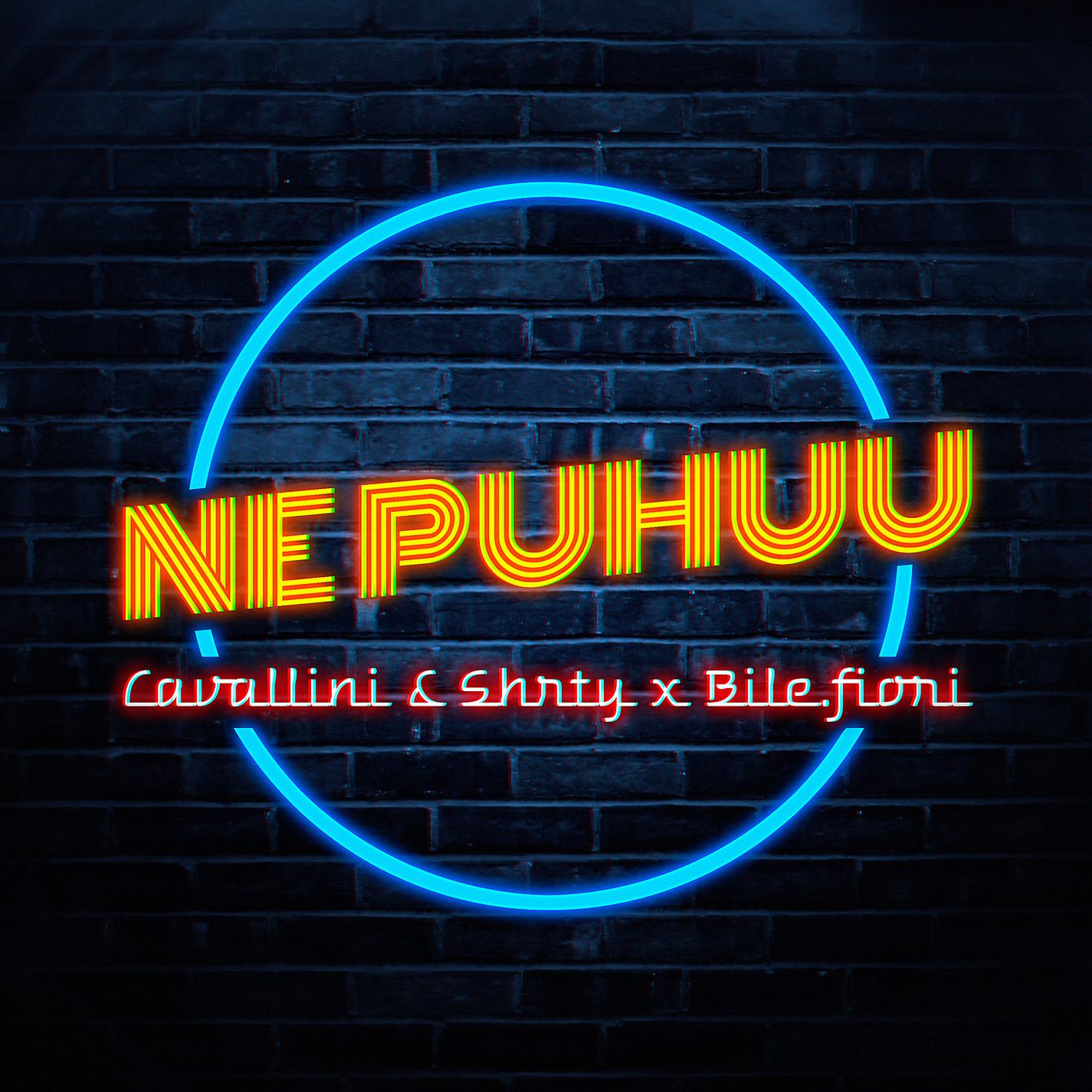 Постер альбома Ne puhuu (feat. Bile.Fioni)
