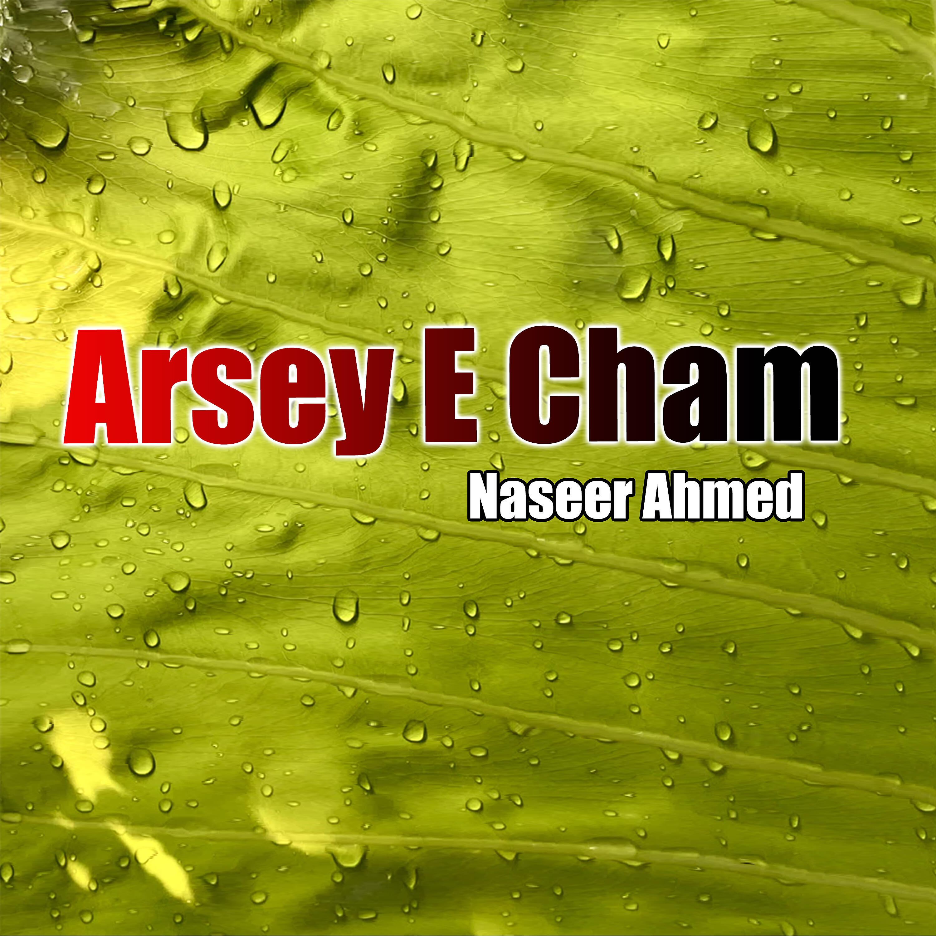 Naseer Ahmed - Mani Tao Sah O Harwa