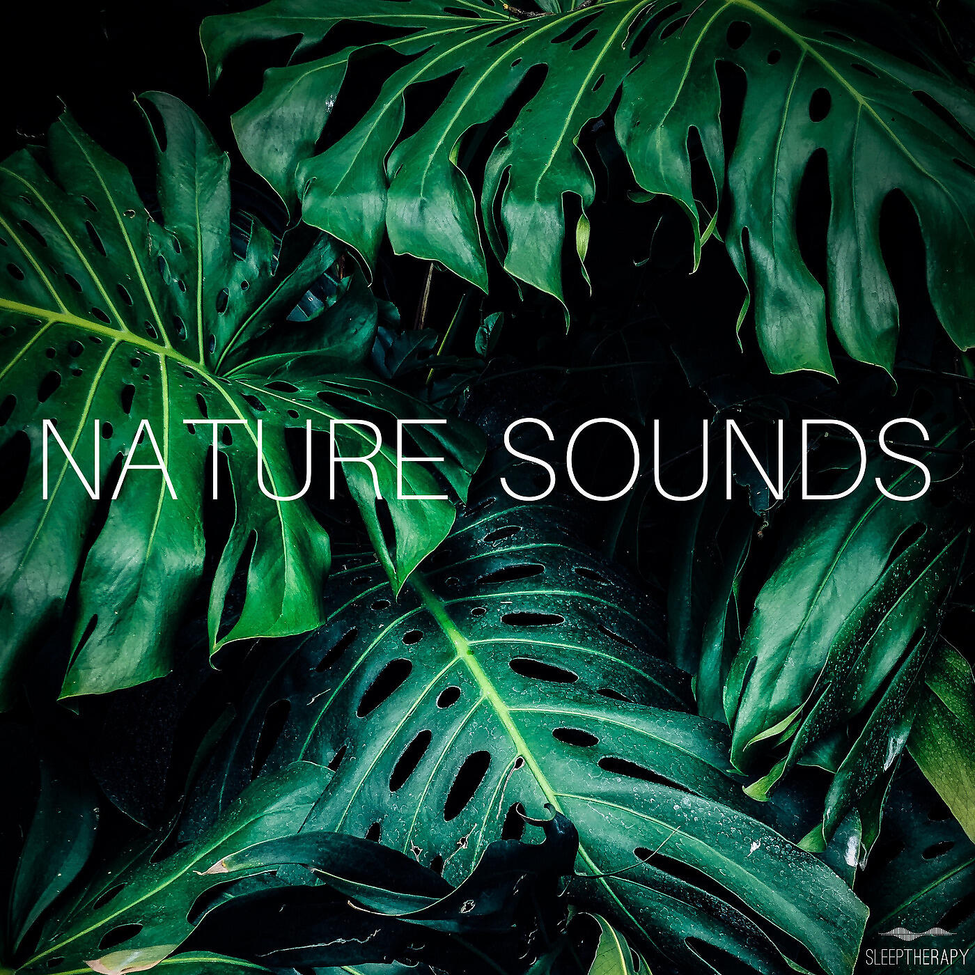 SleepTherapy - Calming Birds in the Forest