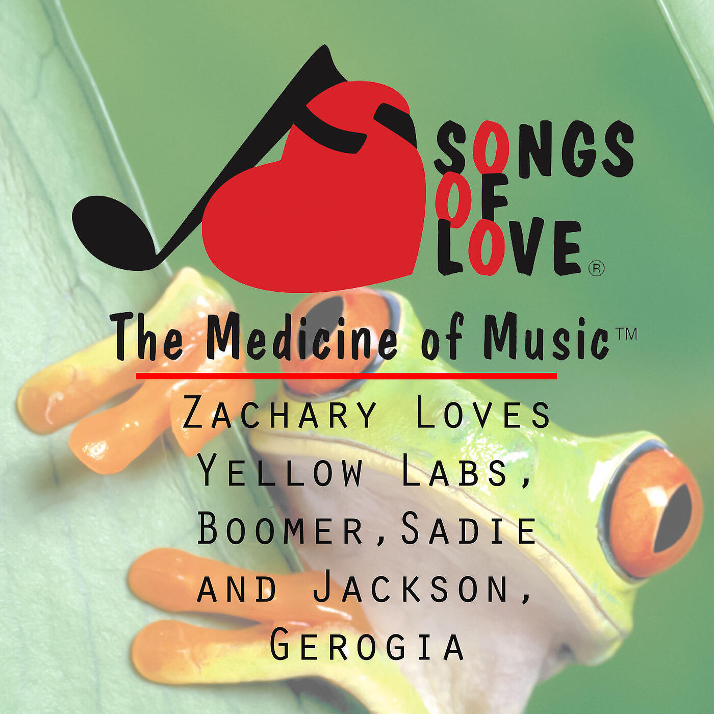 R. and F. Kotkov - Zachary Loves Yellow Labs, Boomer,Sadie and Jackson, Gerogia