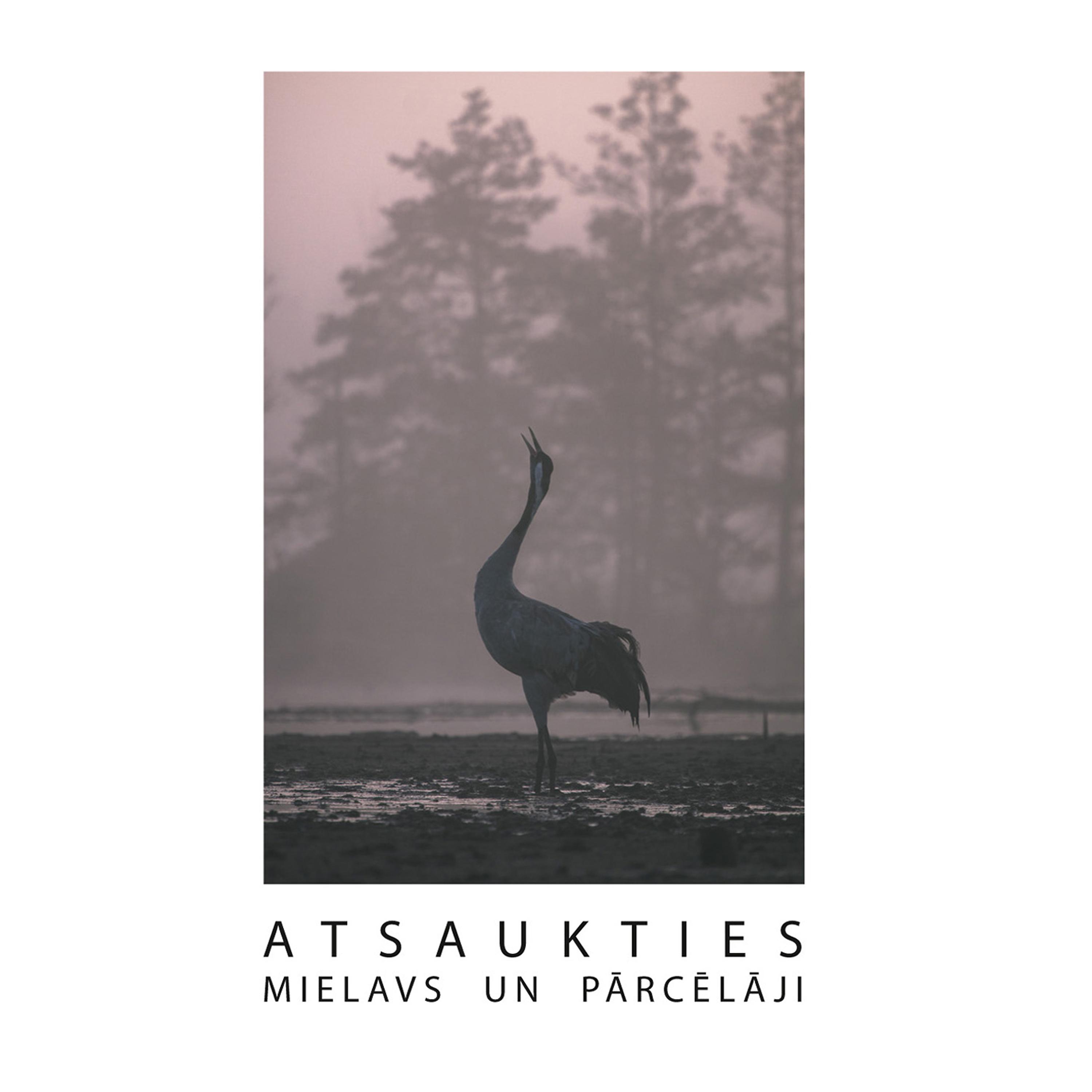 Постер альбома Atsaukties