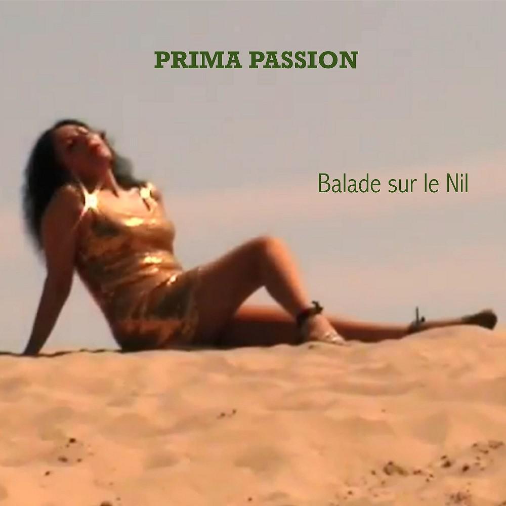 Постер альбома Balade sur le Nil