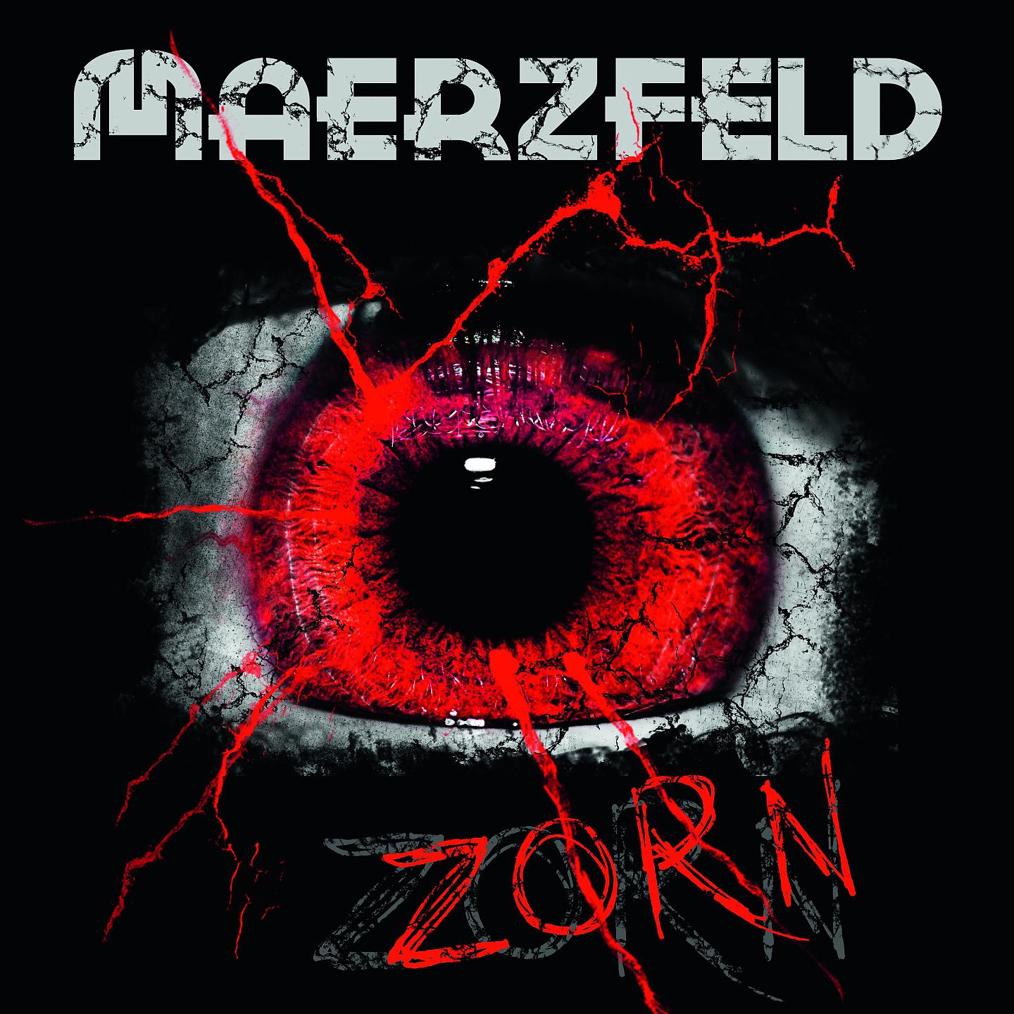 Постер альбома Zorn