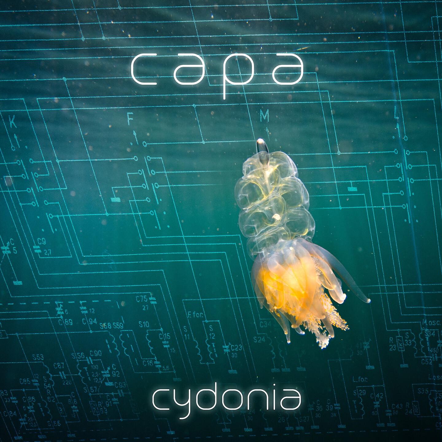 CAPA - Time Is All We've Got