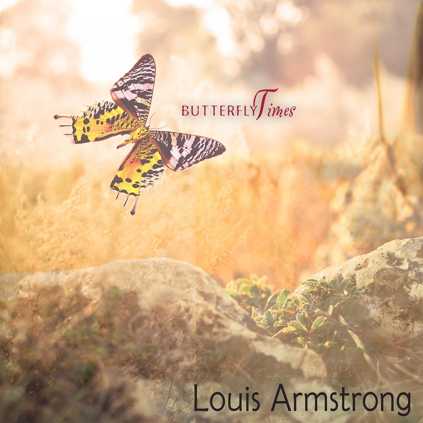 Постер альбома Butterfly Times