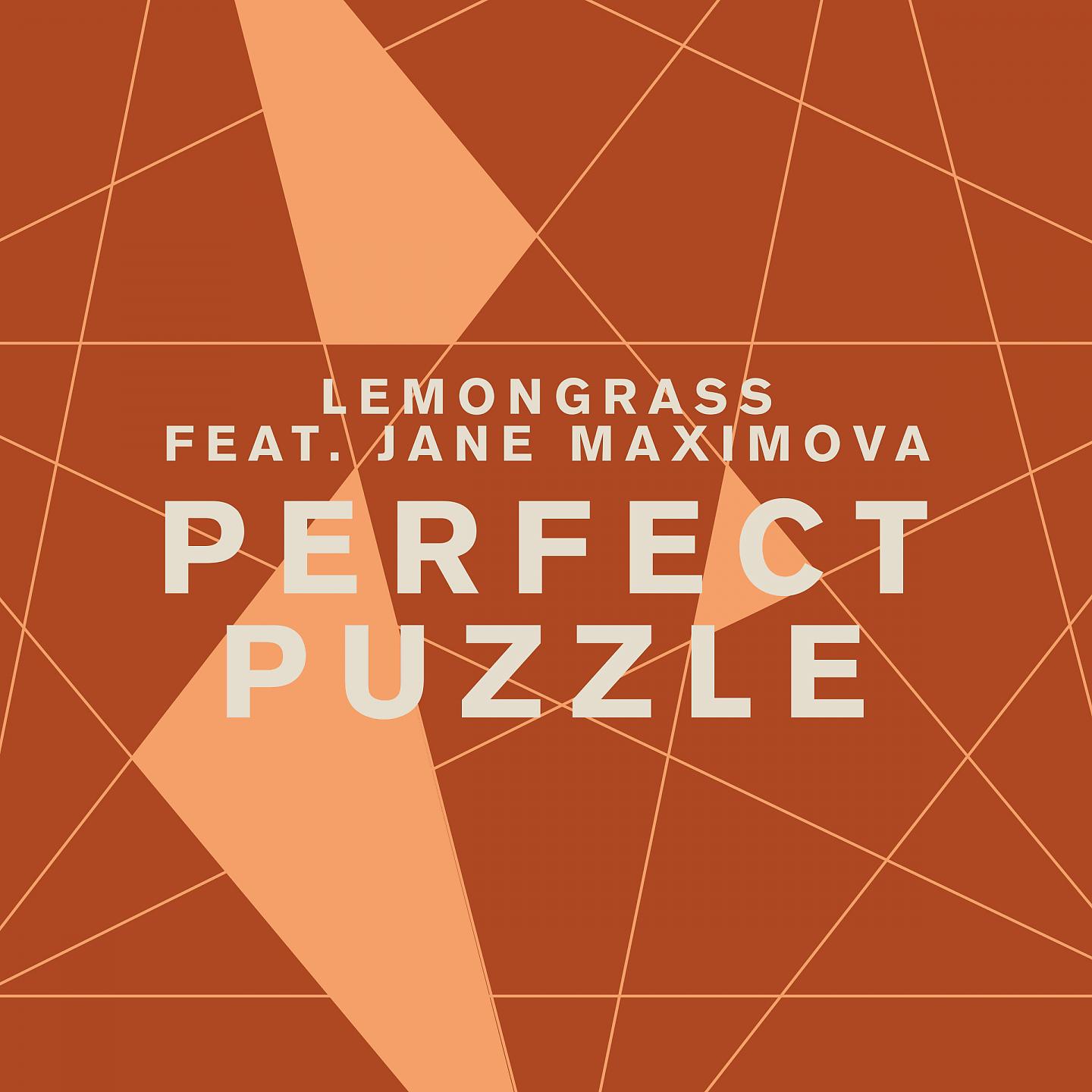 Постер альбома Perfect Puzzle